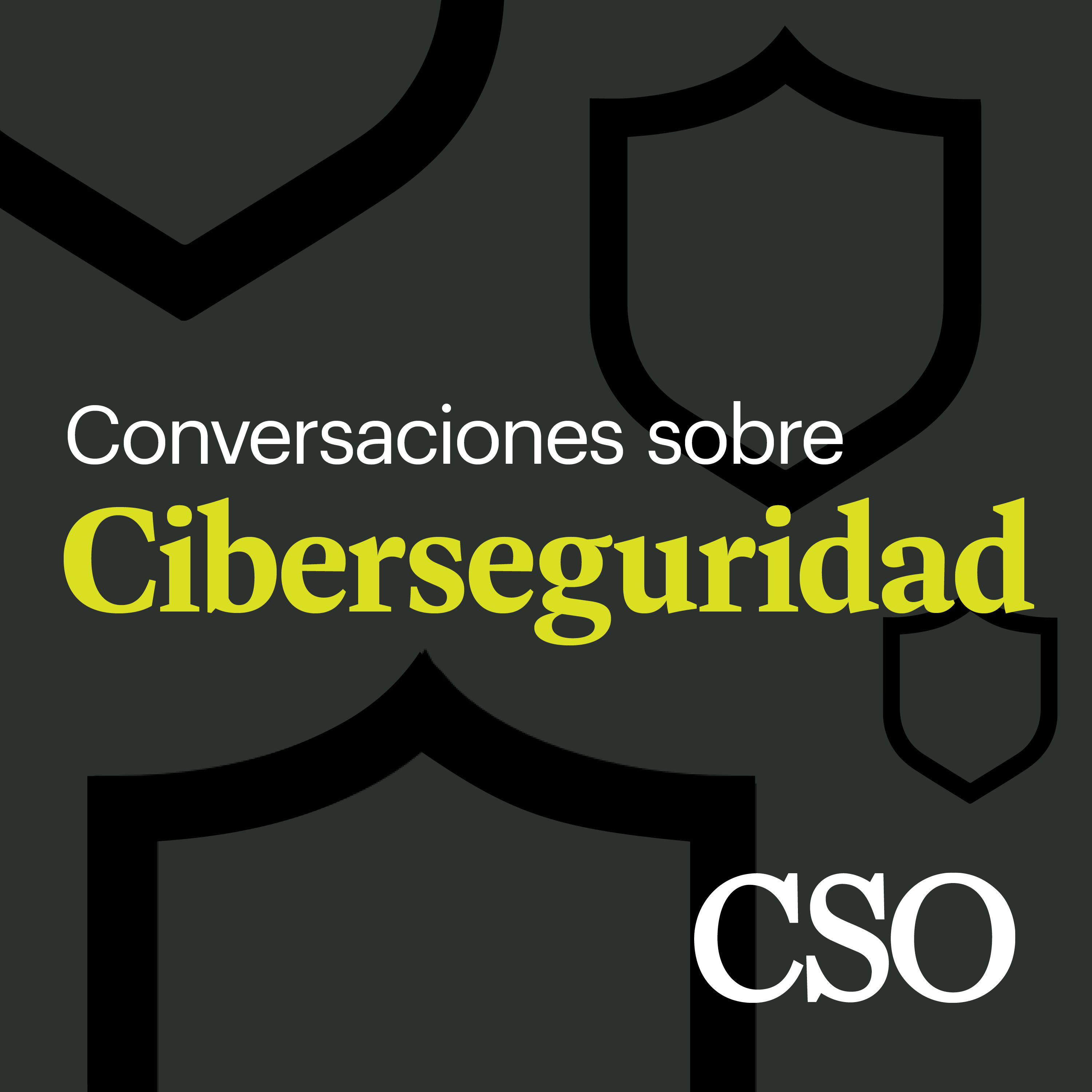 Conversaciones sobre ciberseguridad
