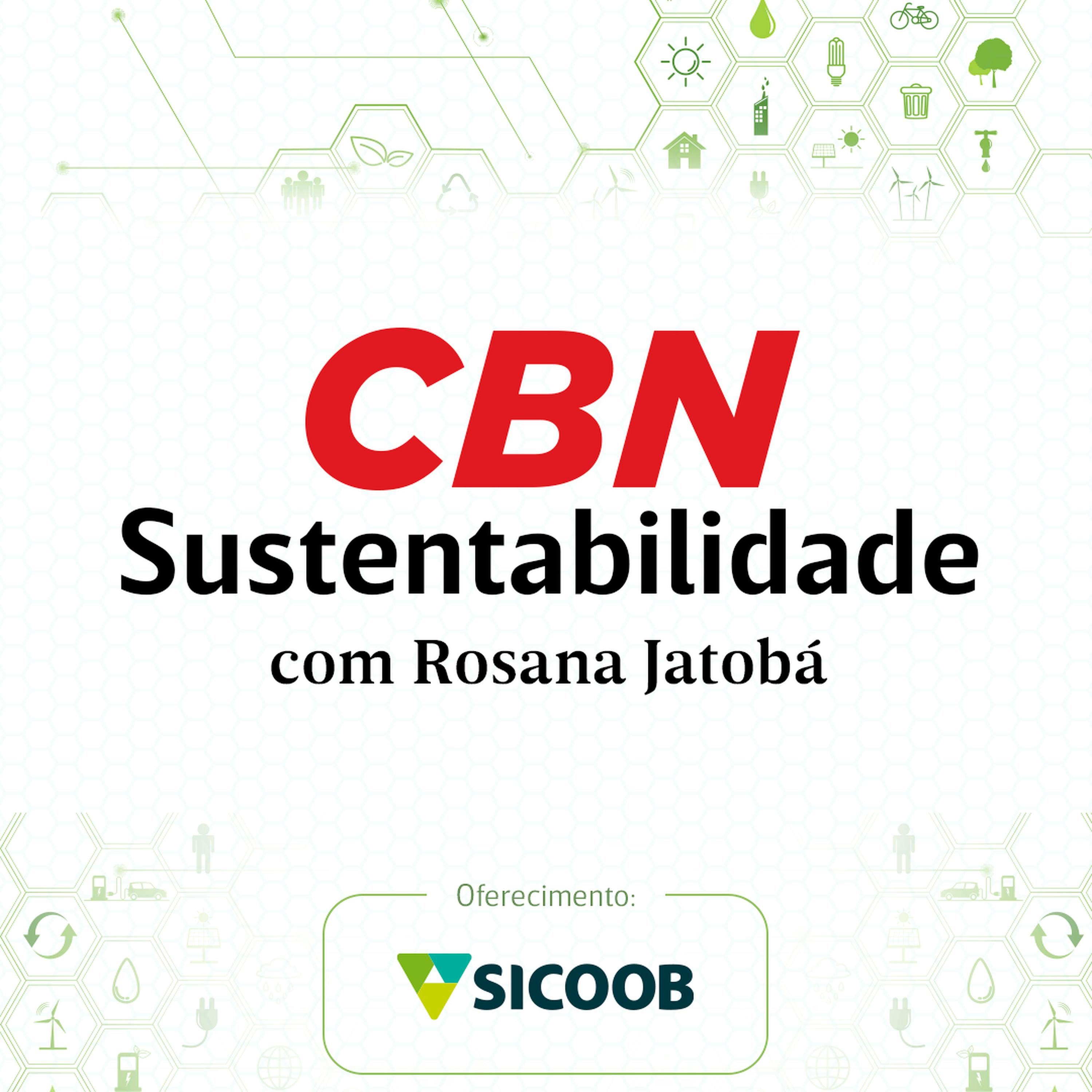 Agenda ESG sofre recuo entre empresas brasileiras Agenda ESG sofre recuo entre empresas brasileiras