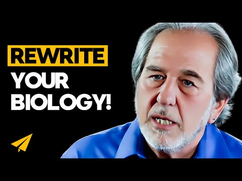 How to Change Your Life by Changing Your Beliefs | Bruce Lipton’s Advice in 1.5 Hours episode artwork