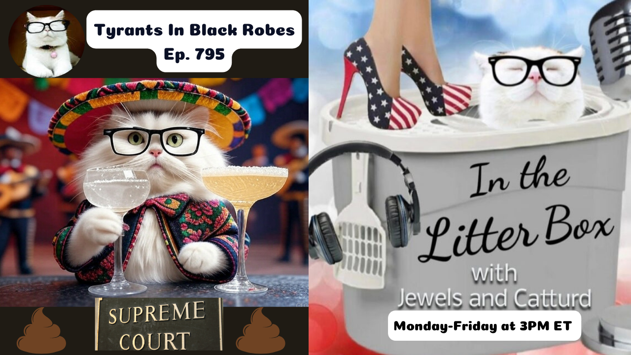 Tyrants In Black Robes   | In the Litter Box w/ Jewels & Catturd – Ep. 795 – 5/5/2025