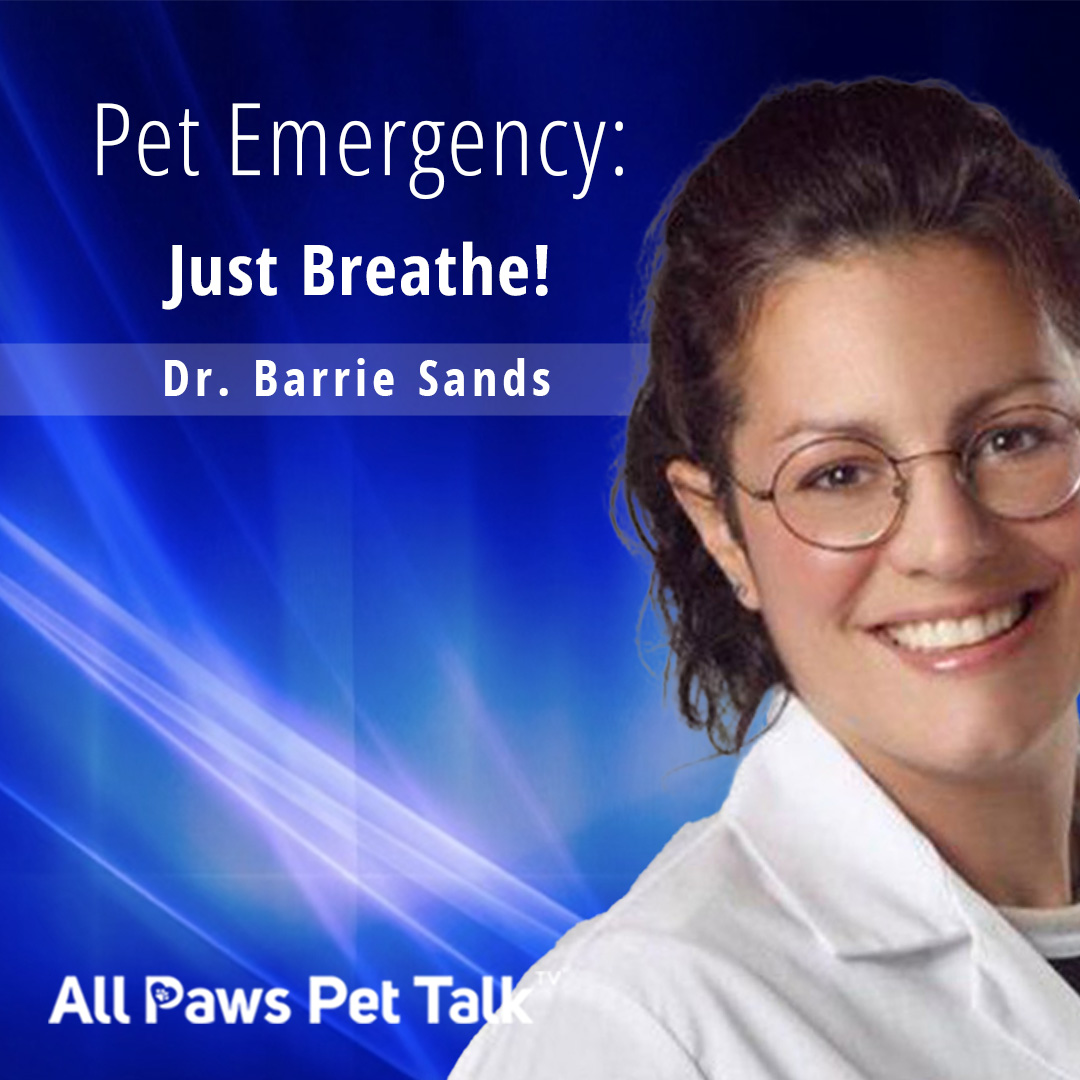 Pet Emergency with Dr. Barrie Sands on Smart Pet Talk