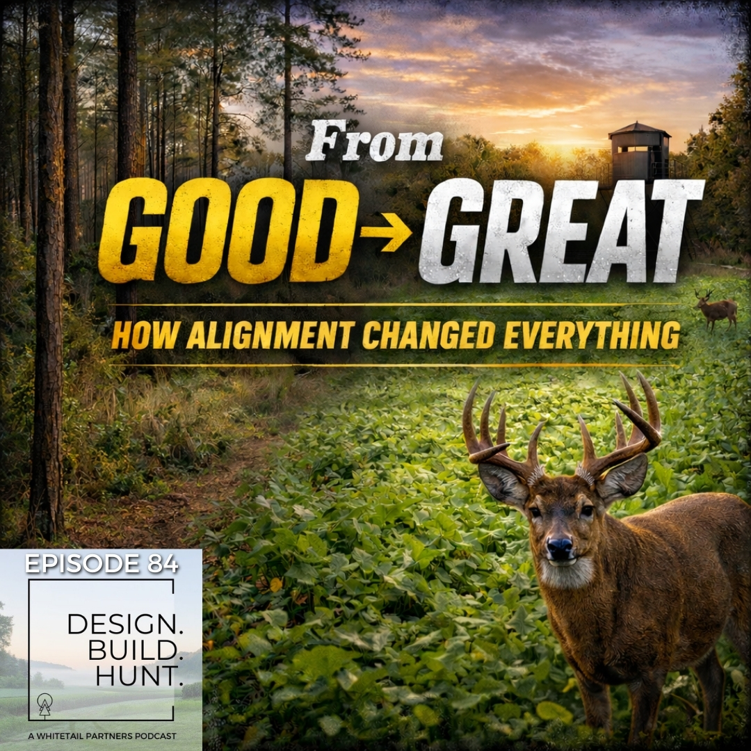 84. From Good to GREAT: How Alignment Changed Everything