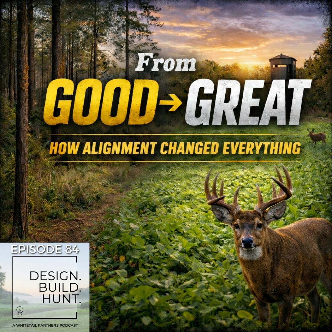 84. From Good to GREAT: How Alignment Changed Everything 84. From Good to GREAT: How Alignment Changed Everything