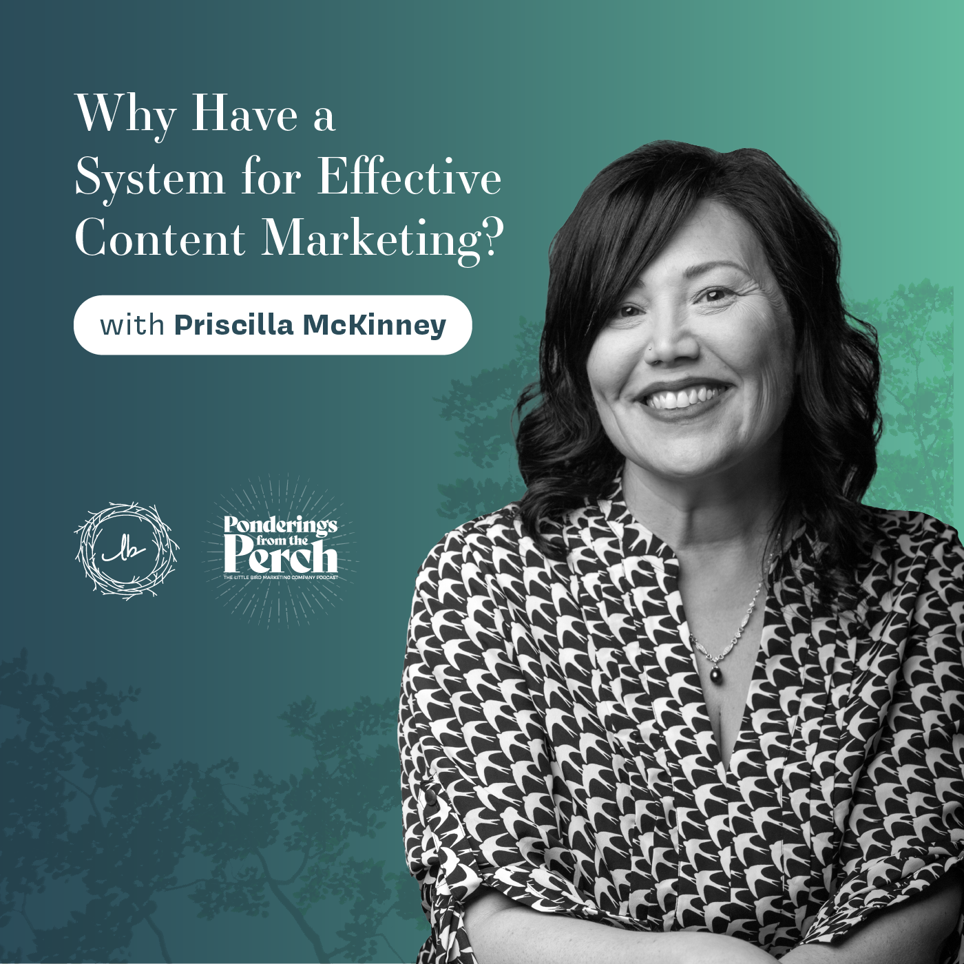 Why Have a System for Effective Content Marketing episode artwork