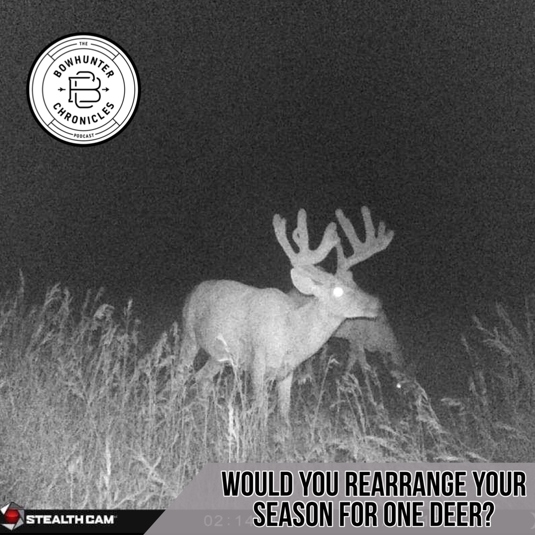 Would You Rearrange Your Season For One Deer?