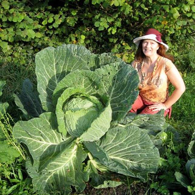 Agricoltura energetica ed elettrocoltura. Con Andrea Donnoli