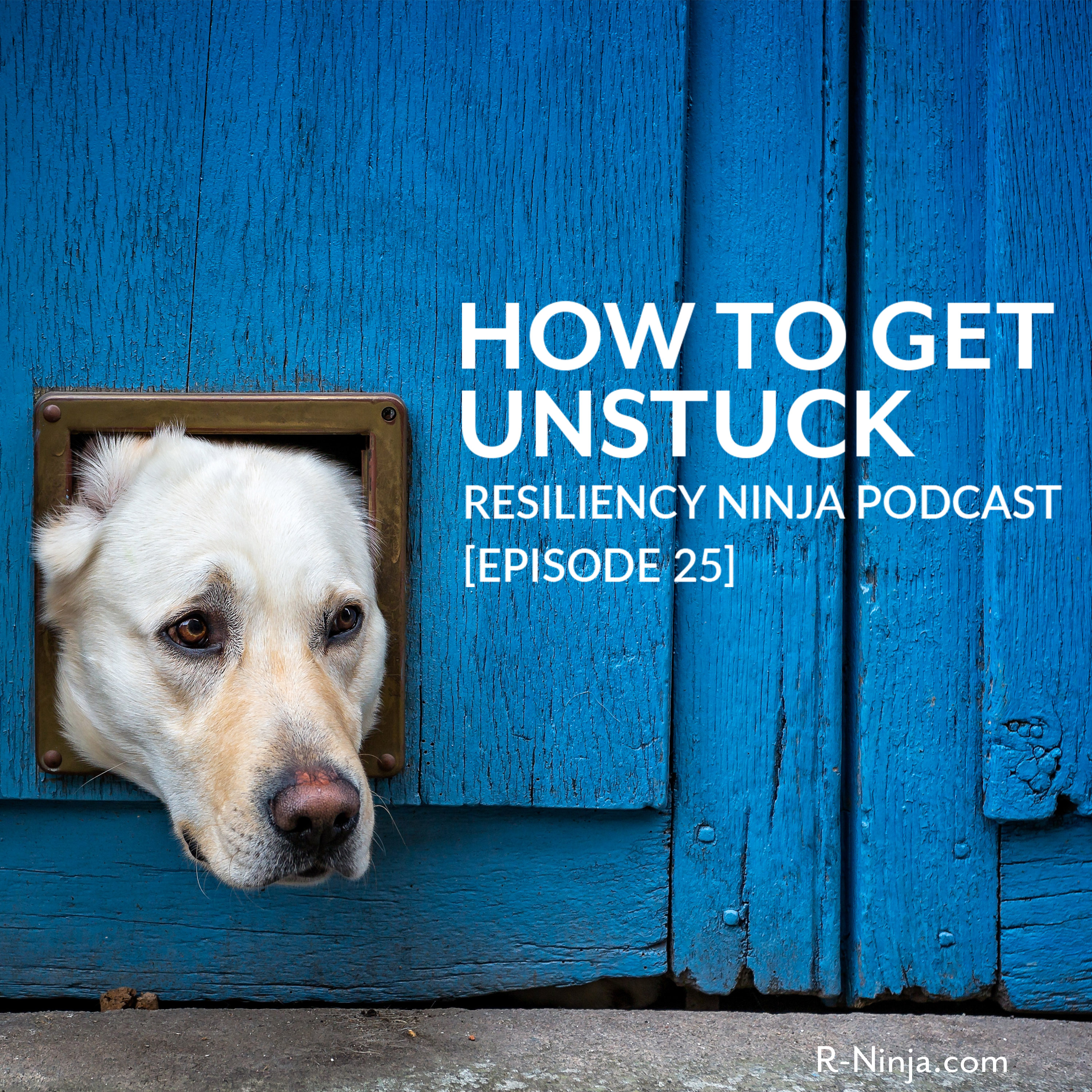 Resiliency Ninja with Allison Graham