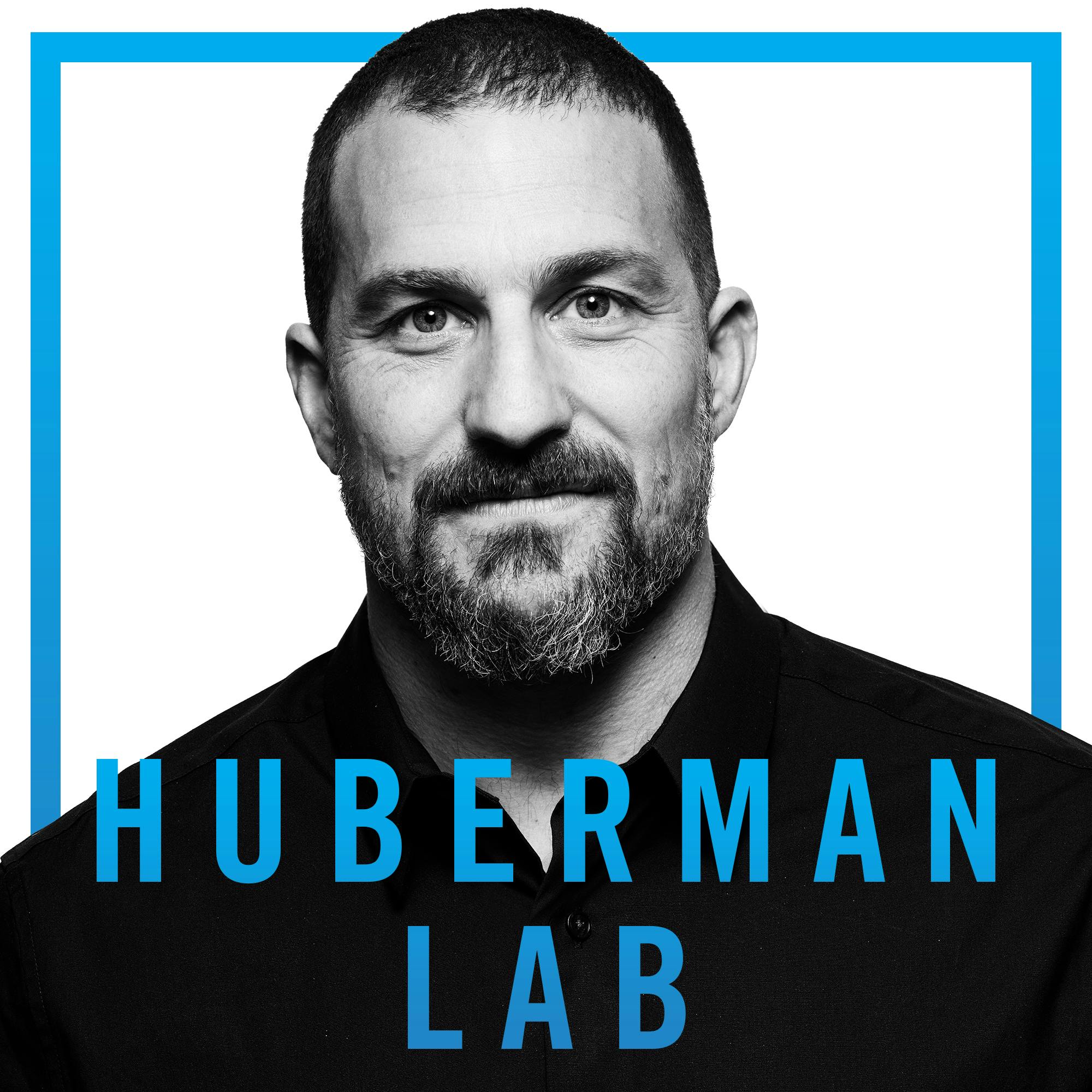 Welcome to the Huberman Lab Podcast by Scicomm Media