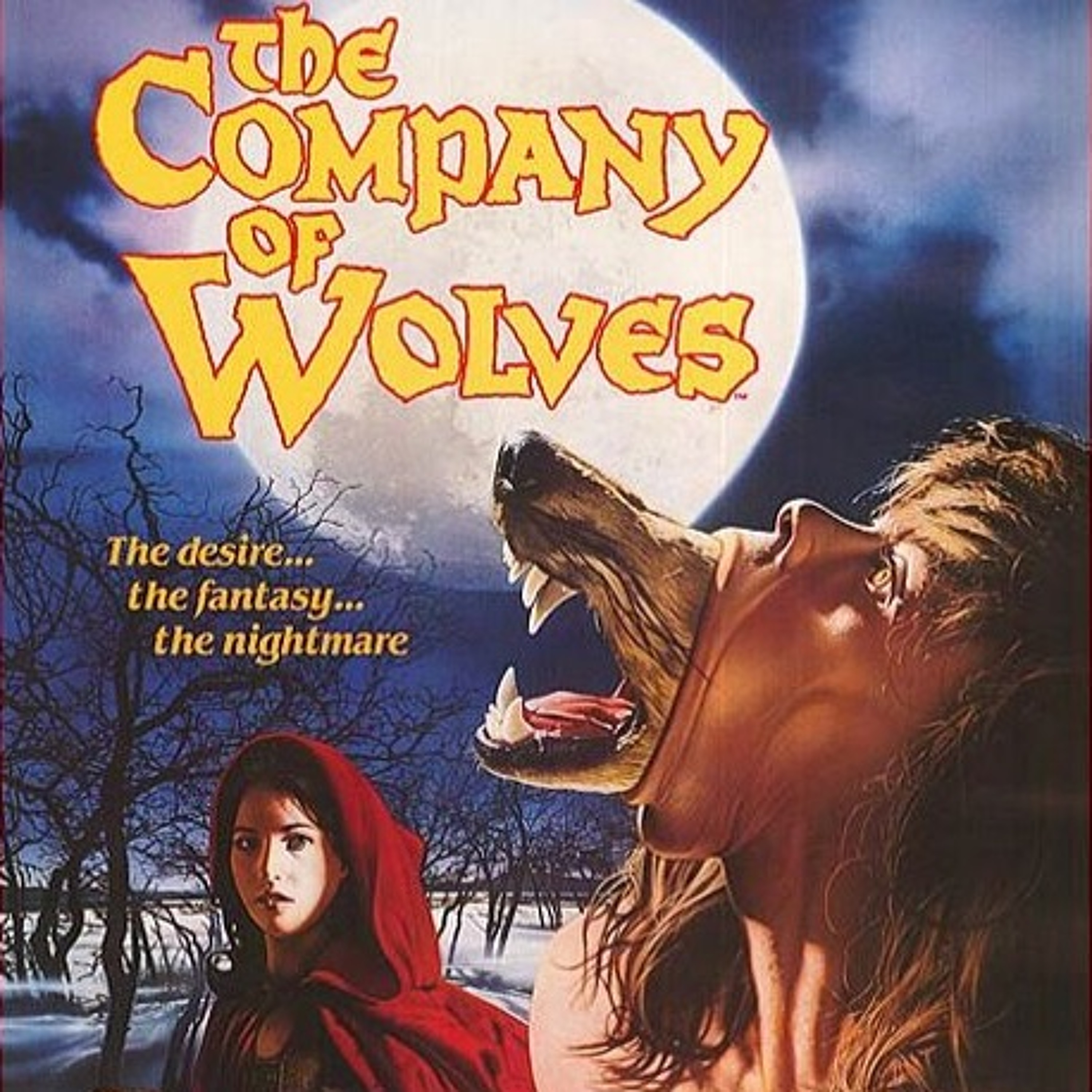 3 FILMS THAT HAVE IMPACTED EVERYTHING IN YOUR ADULT LIFE