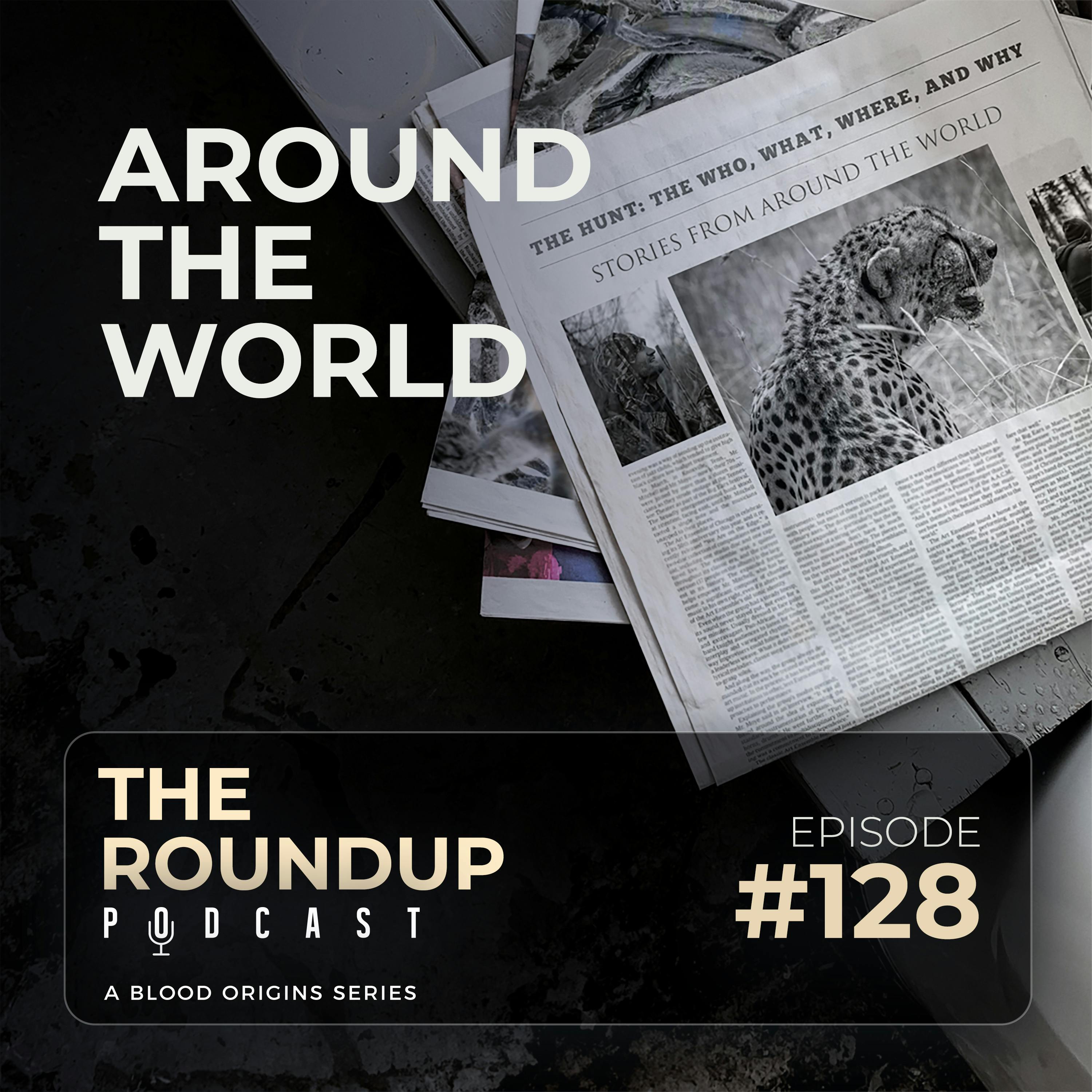 Roundup 128 || Lions And Bears And Jim Inglis!