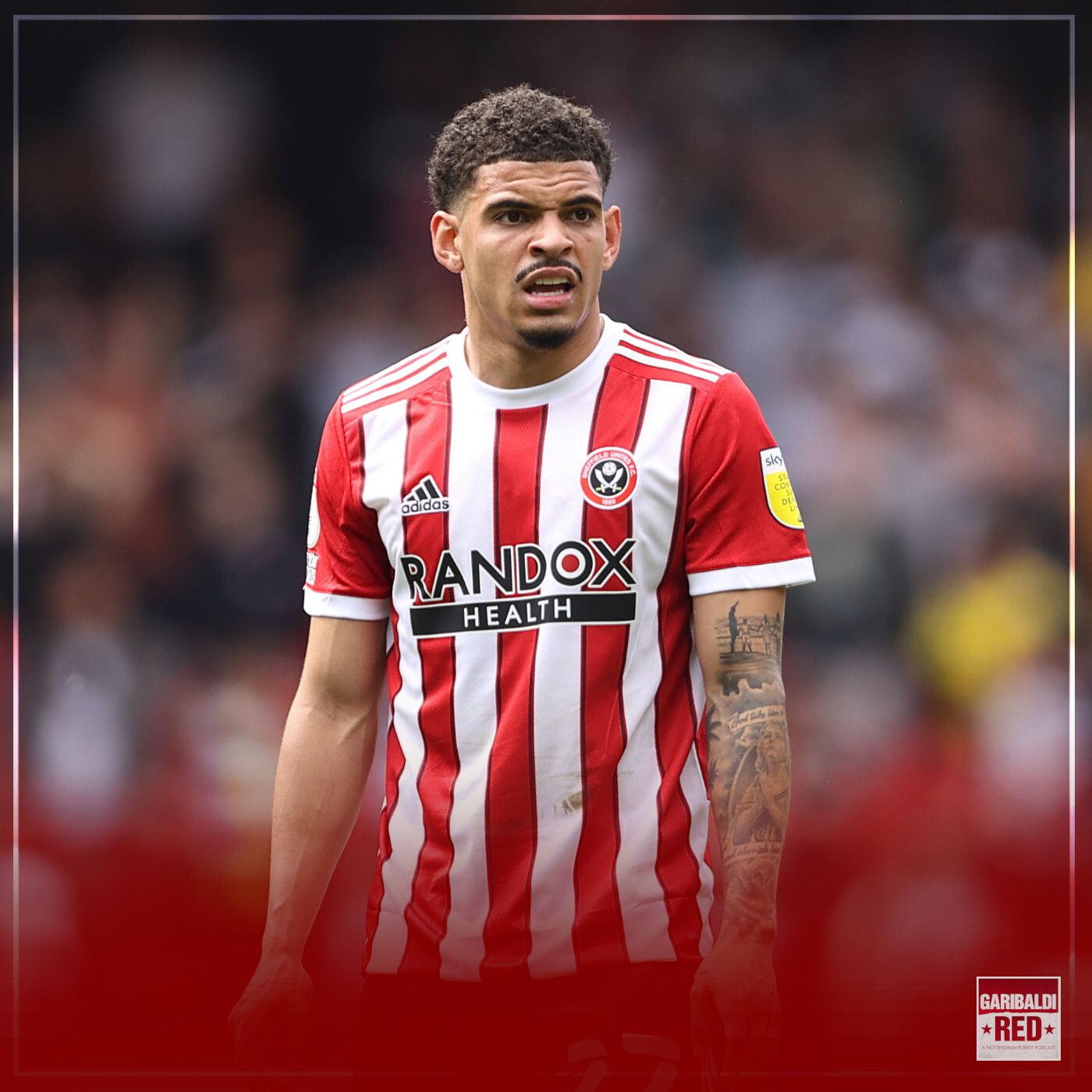 Garibaldi Red Podcast #143 | TRANSFERS RUMOURS AND SQUAD RATED episode artwork