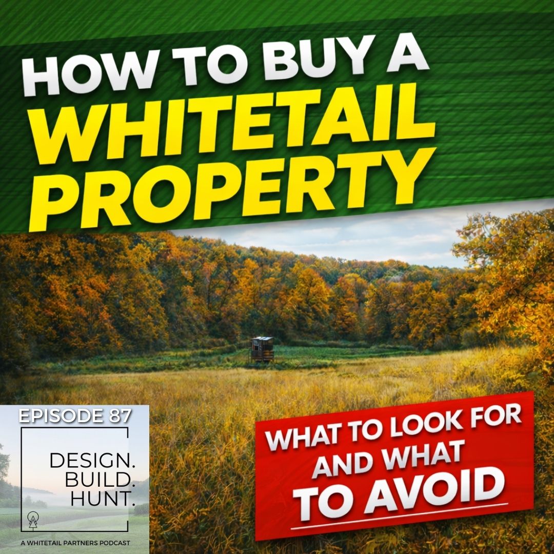 87. How to Buy a Whitetail Property (What to Look For & What to Avoid)