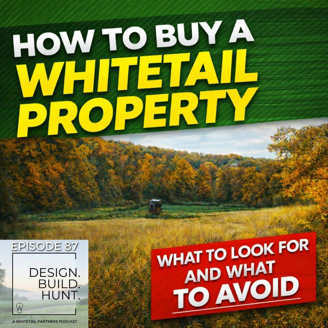 87. How to Buy a Whitetail Property (What to Look For & What to Avoid) 87. How to Buy a Whitetail Property (What to Look For & What to Avoid)