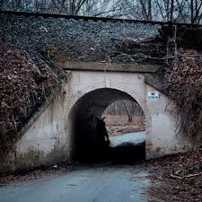 Episode 84: Under The Overpass episode artwork