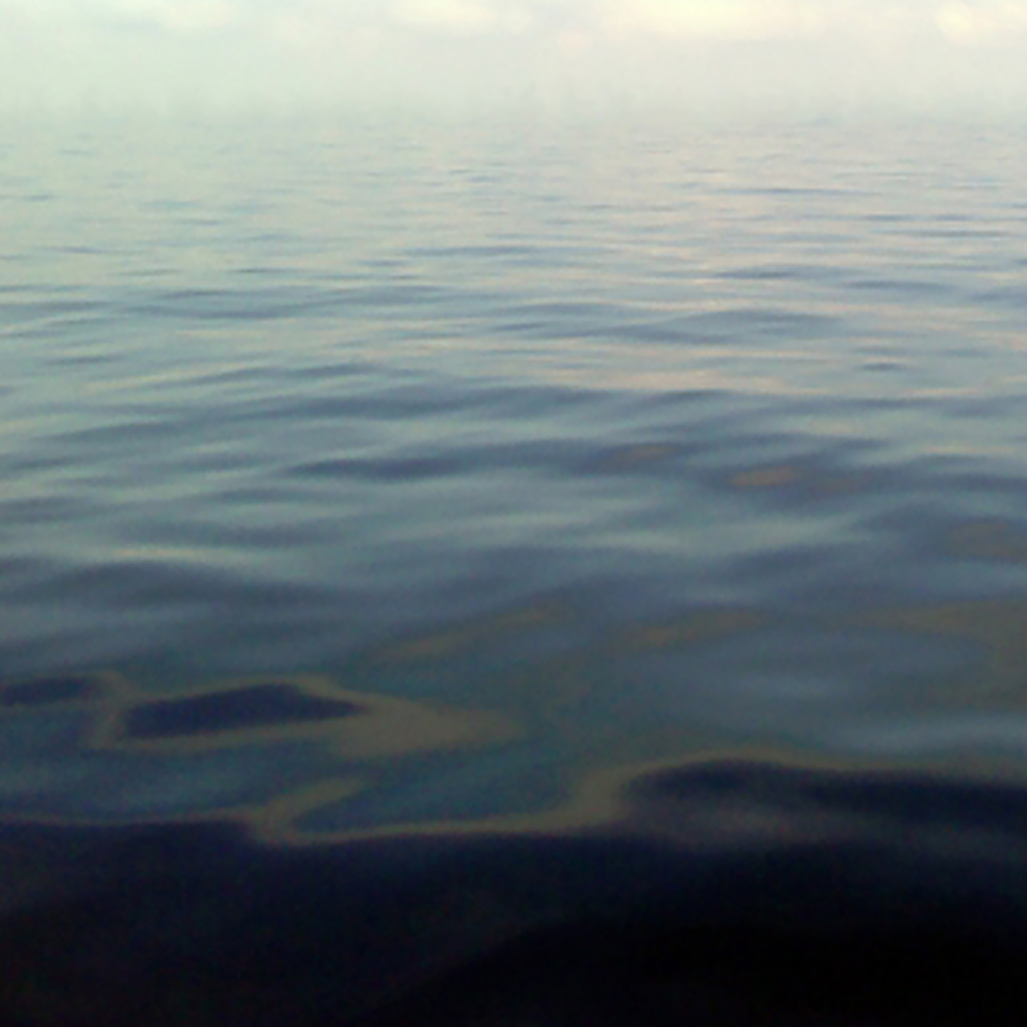 Thumbnail for "Man V. Nature".