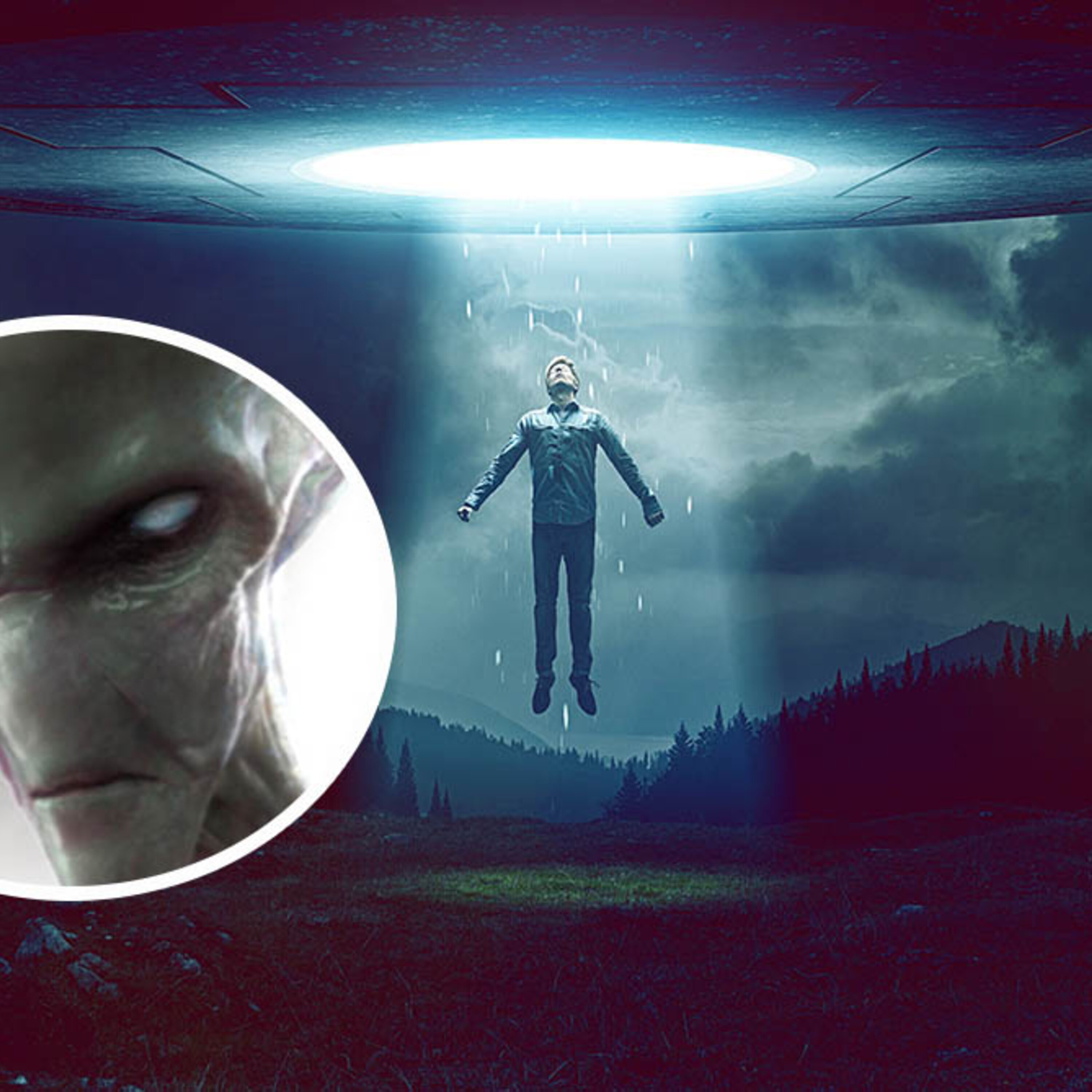 The Alien Abduction of Michel Desmarquet