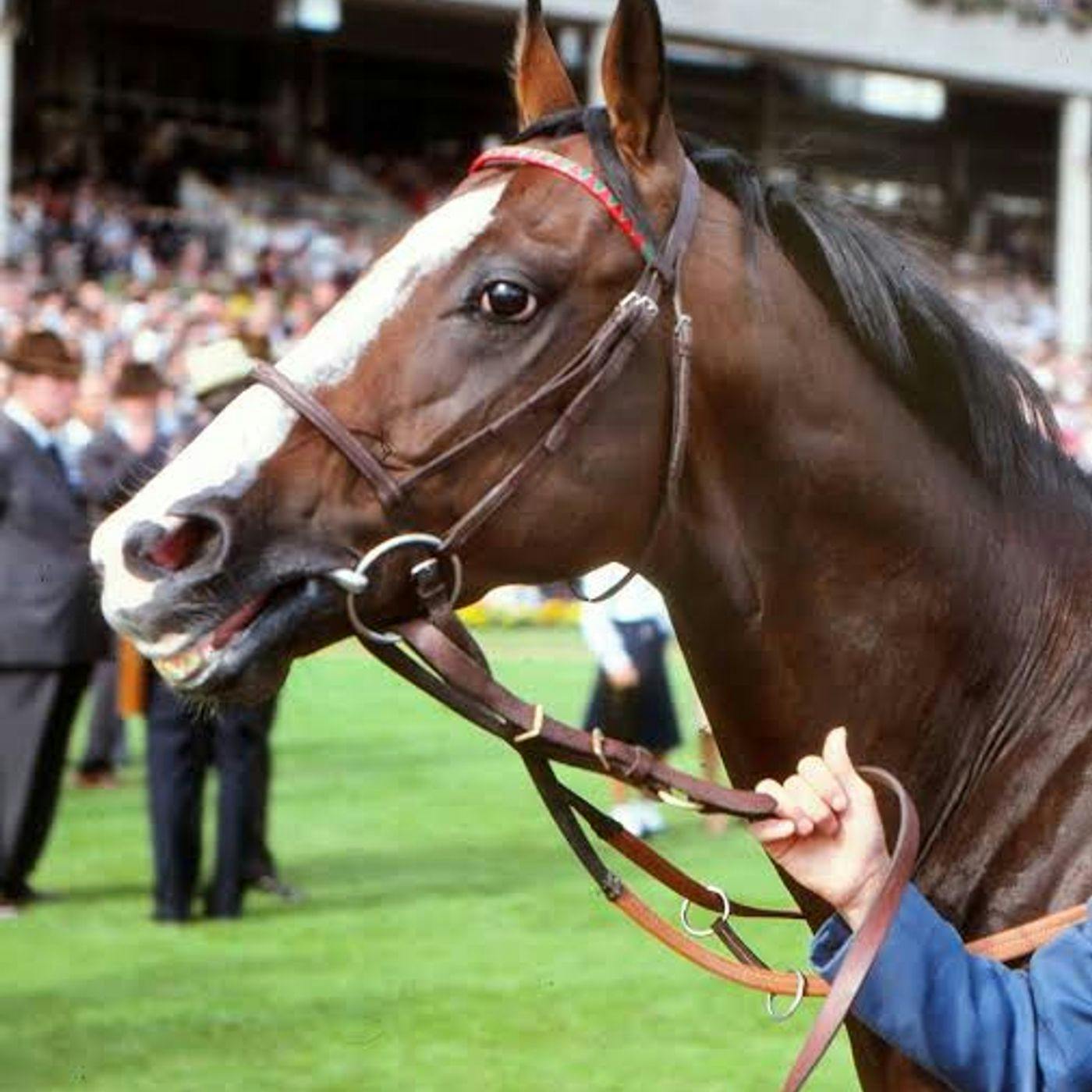 The Disappearance of Shergar: The World’s Most Famous Racehorse The Disappearance of Shergar: The World’s Most Famous Racehorse