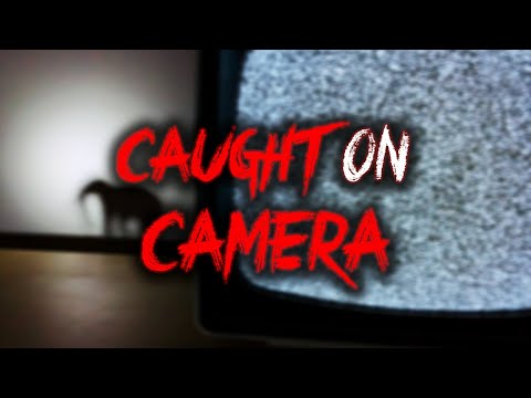Vol 1: 5 Most Disturbing Creatures Caught on Camera episode artwork