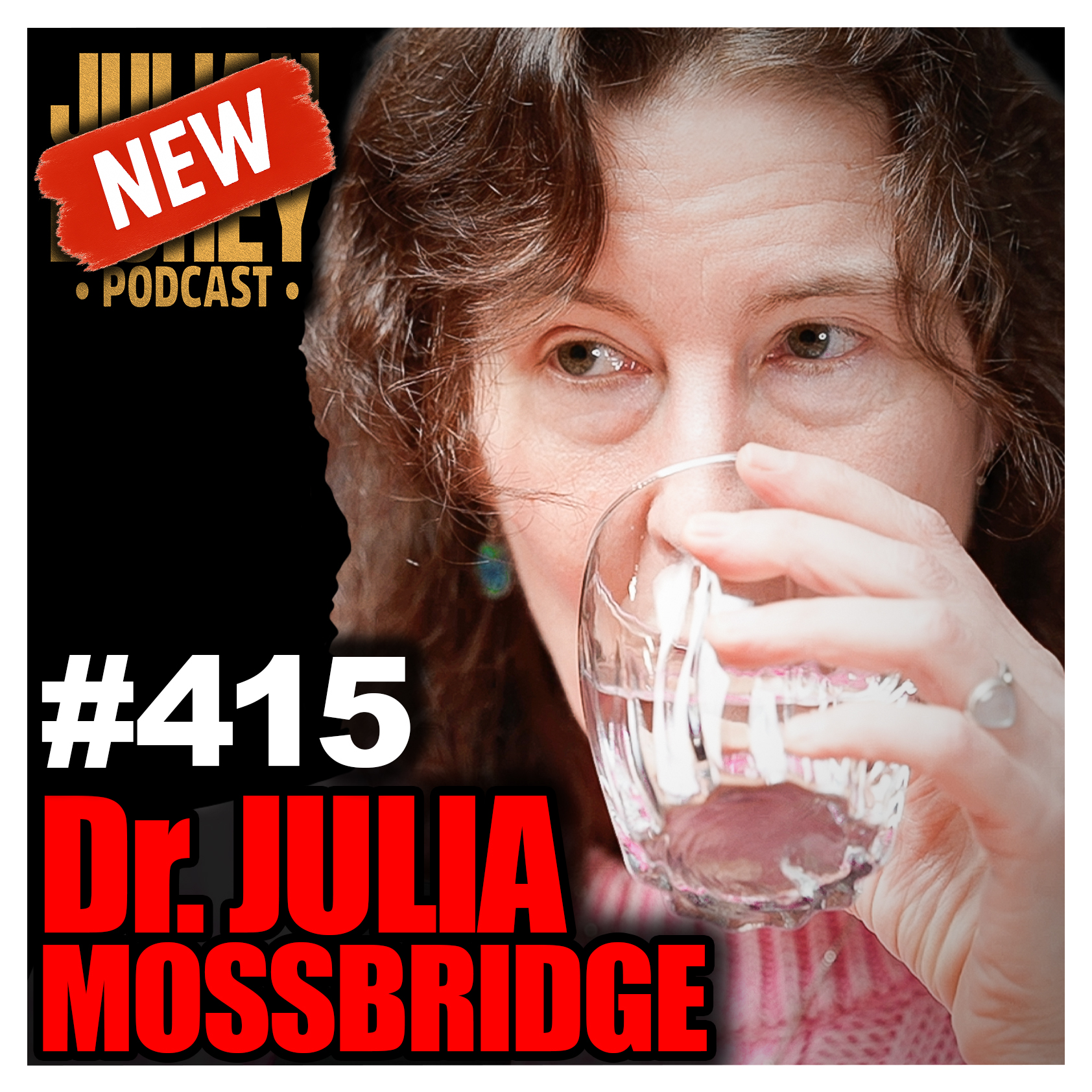 #415 - "PSYCHIC Program!" - Neuroscientist on Remote Viewing, STARGATE & Telepathy | Julia Mossbridge