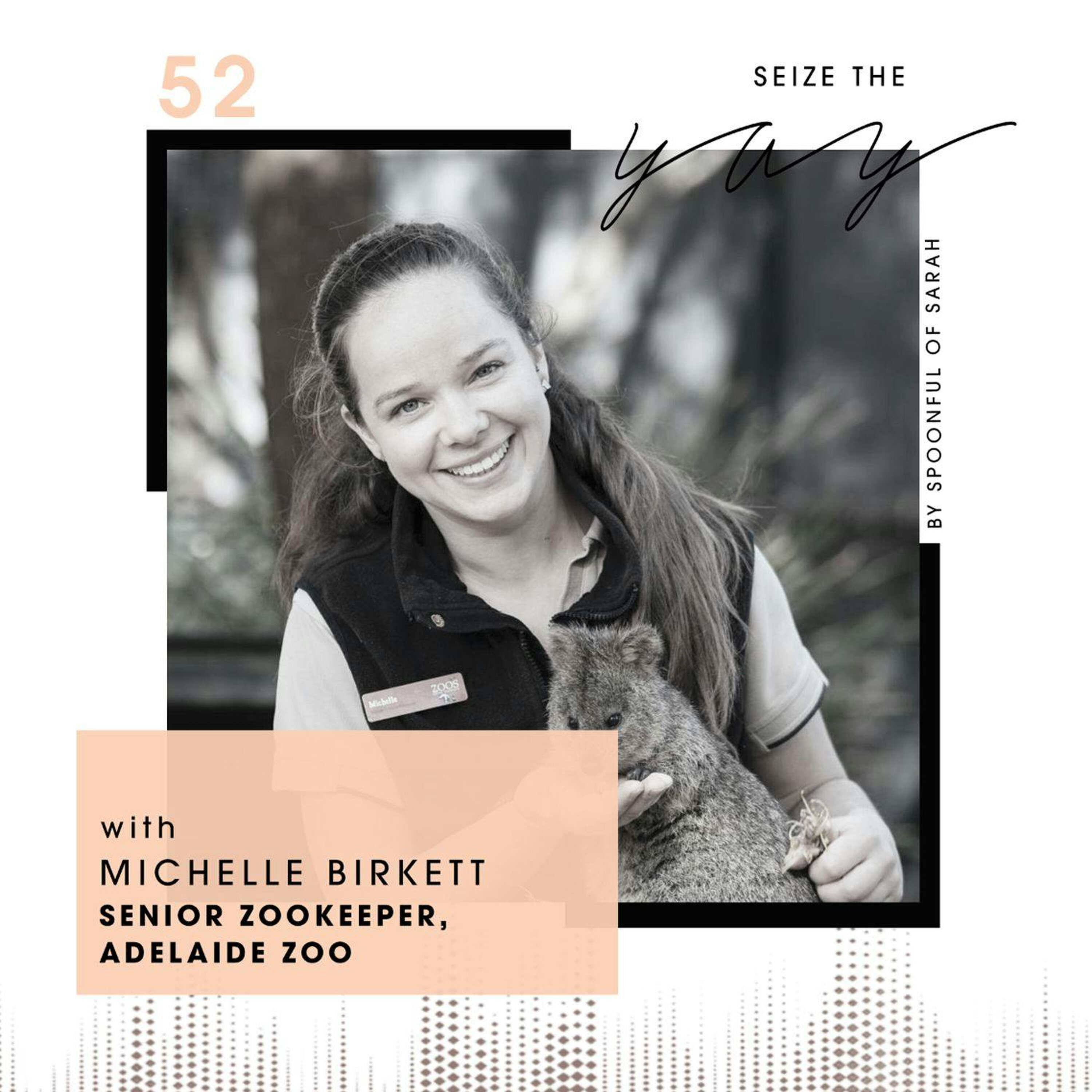 Michelle Birkett // Koalafications for becoming a zookeeper episode artwork