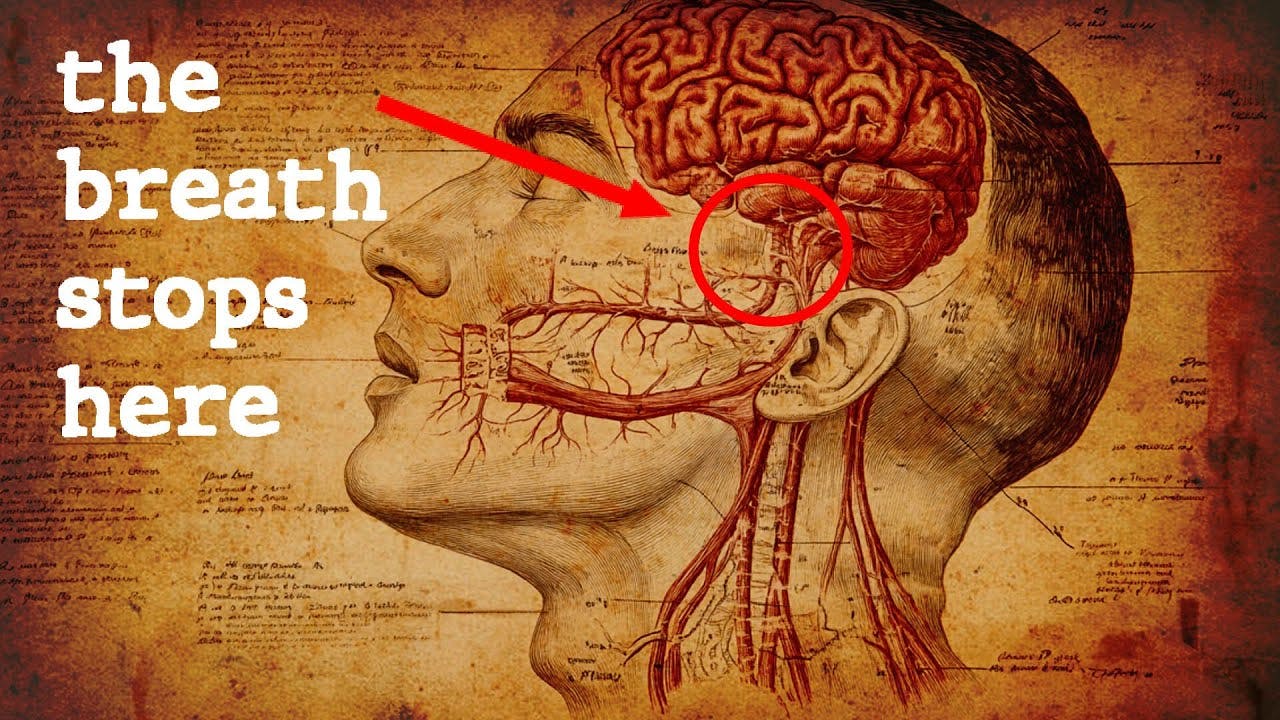 The LOST science of breathing they don’t want you to know. | Quazi Johir The LOST science of breathing they don’t want you to know. | Quazi Johir