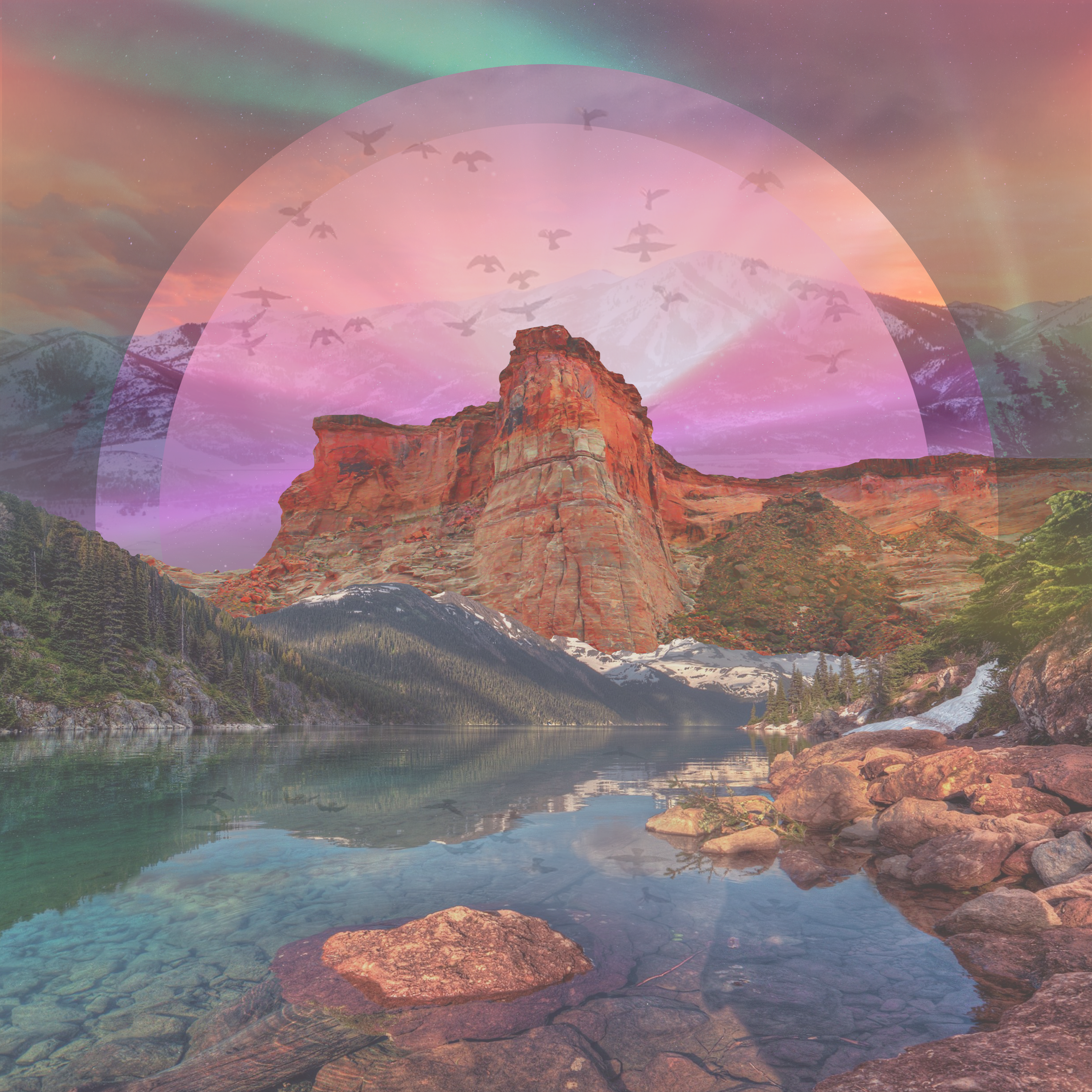 Indigenize the Law: Tribal Rights of Nature Movements - PT. 1 | Casey Camp-Horinek