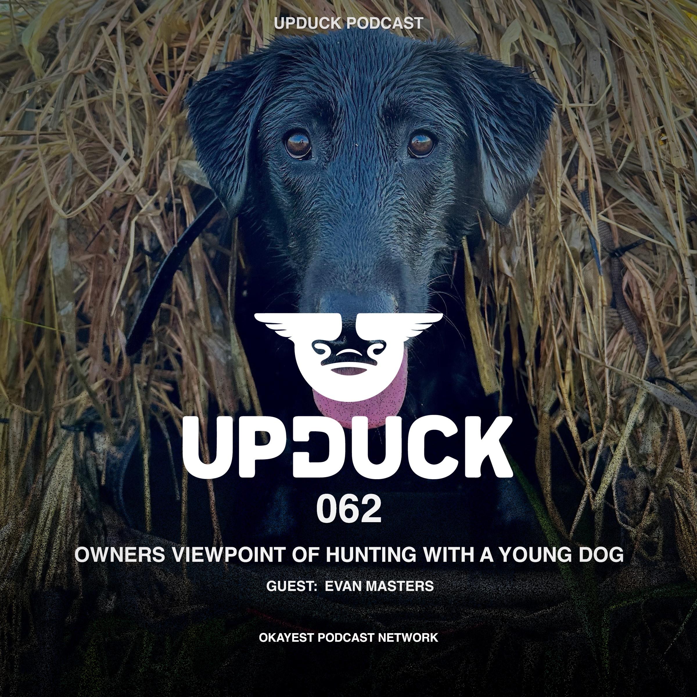 An Owners Viewpoint of Hunting With A Young Dog with Evan Masters episode artwork