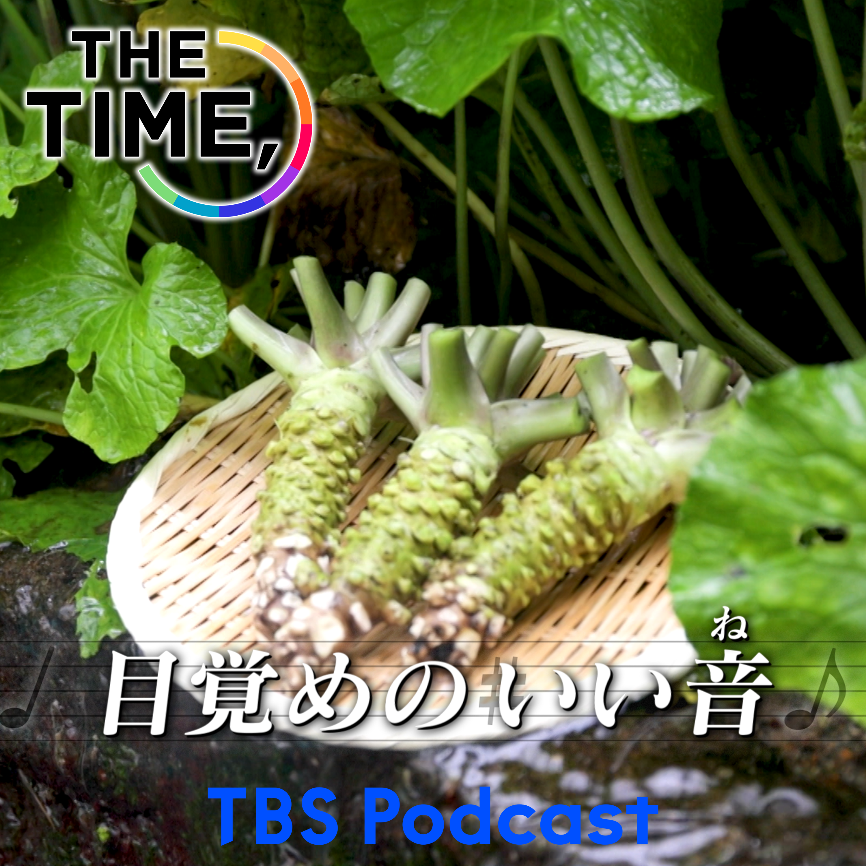 「わさび田」 episode artwork