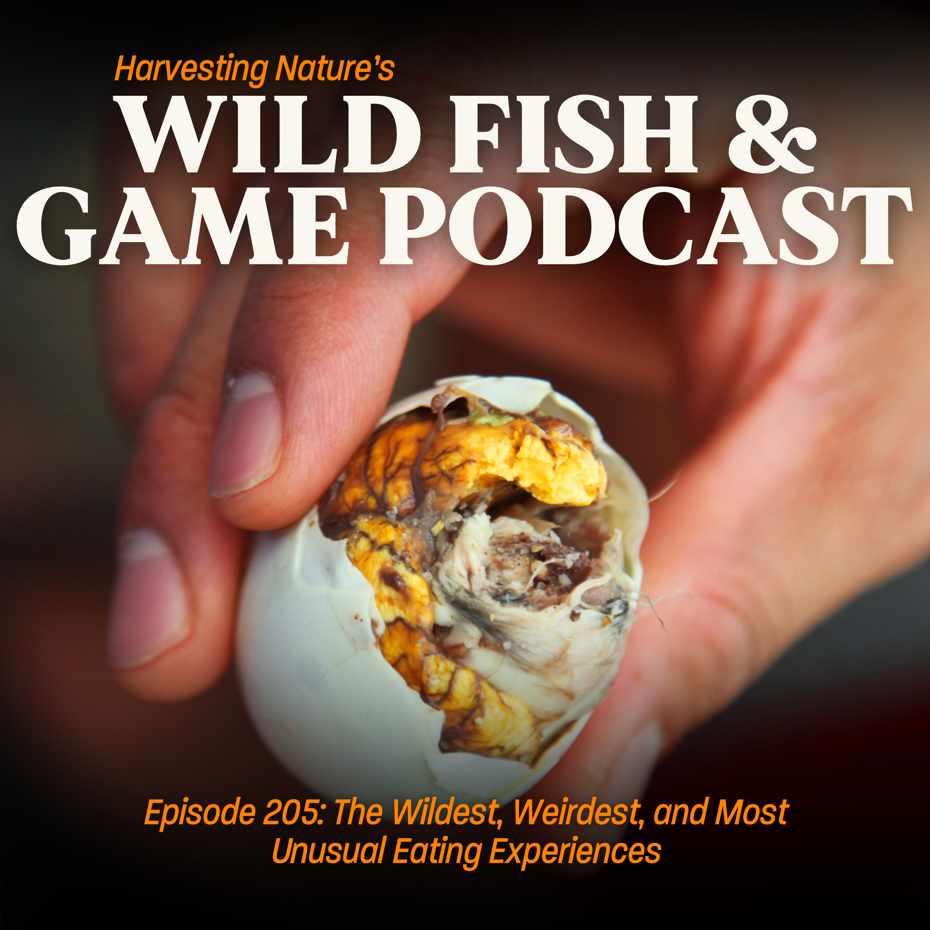 Episode 205: The Wildest, Weirdest, and Most Unusual Eating Experiences