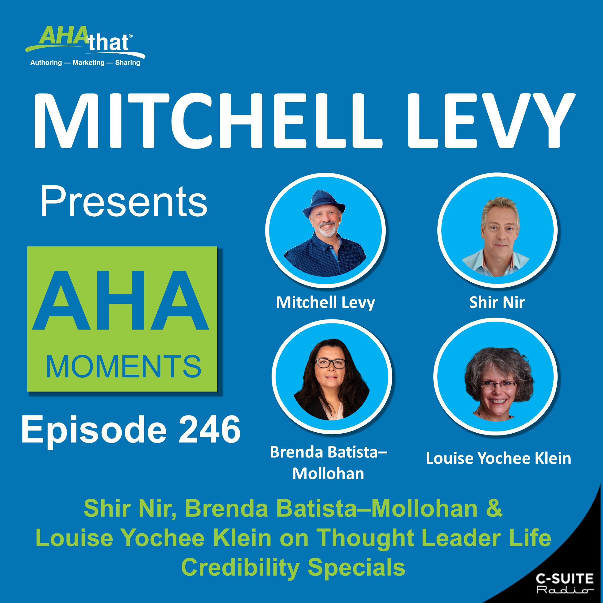 Mitchell Levy Presents AHA Moments
