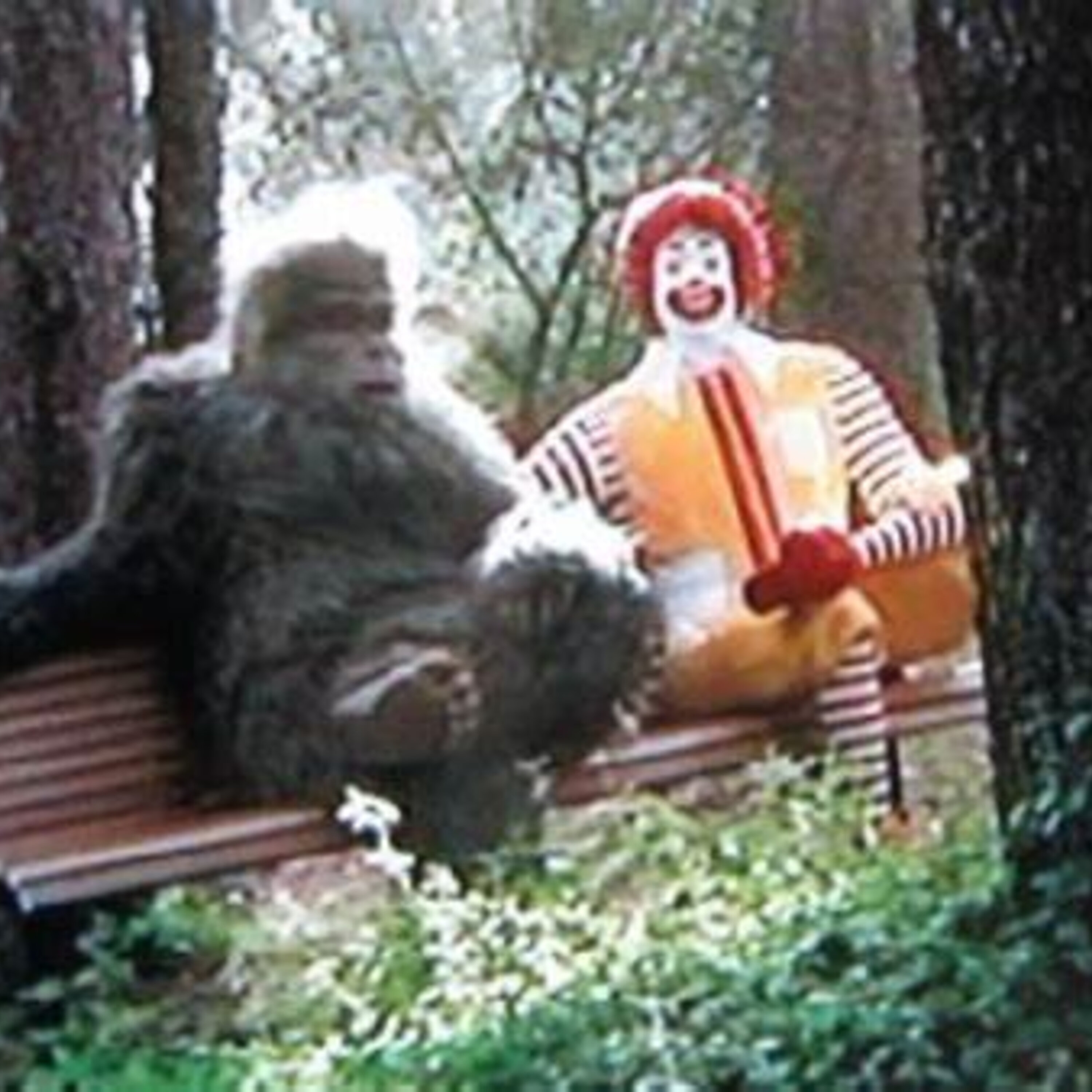 Paranormal Gone Wild Edition