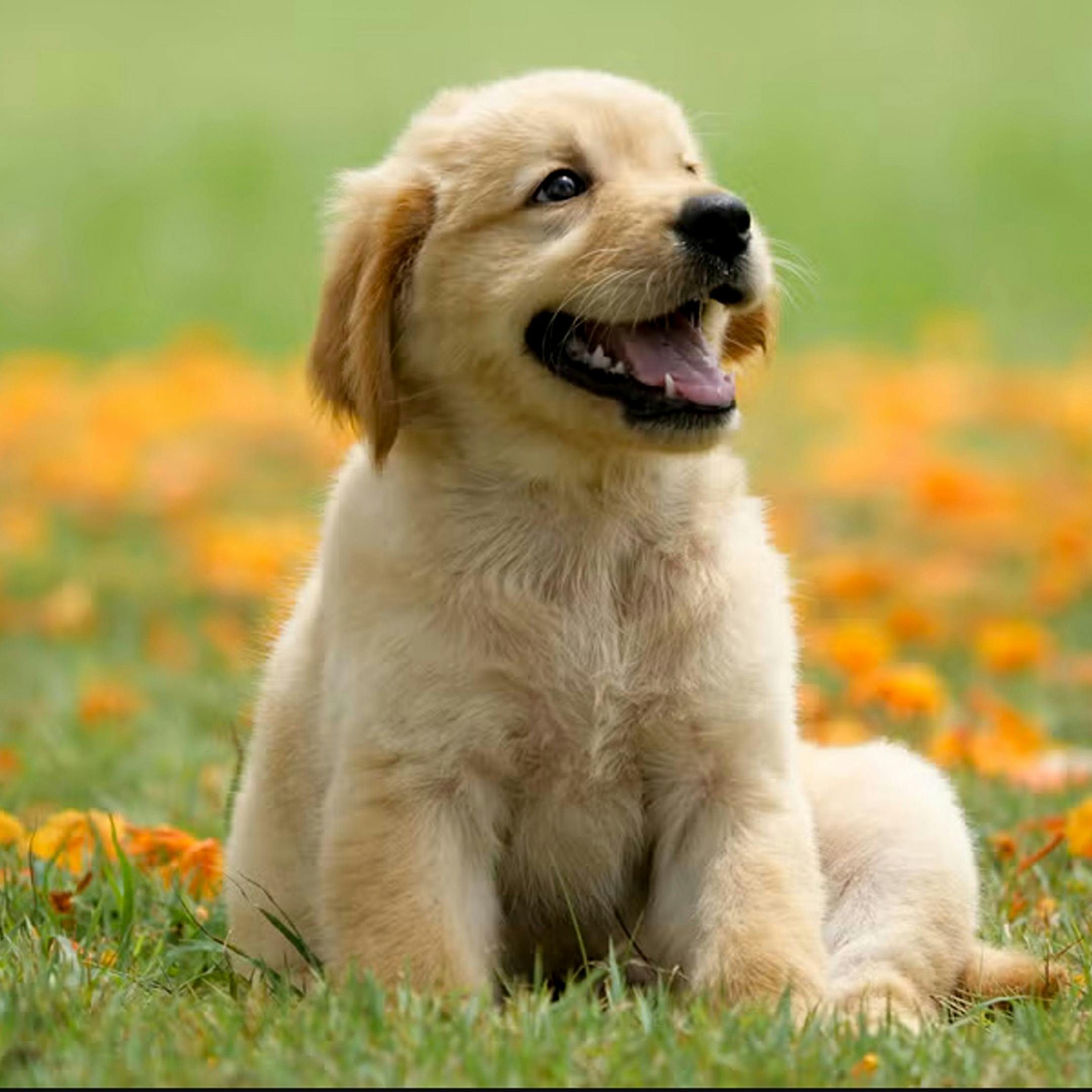 Doing Vs Participation Doing Vs Participation