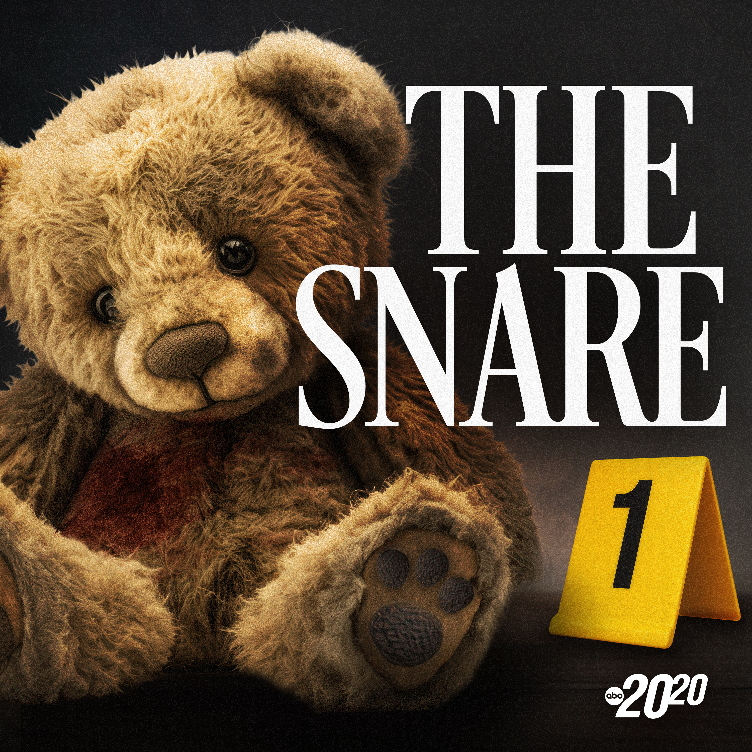20/20 - The Snare, Episode 4: A New Crusade episode artwork