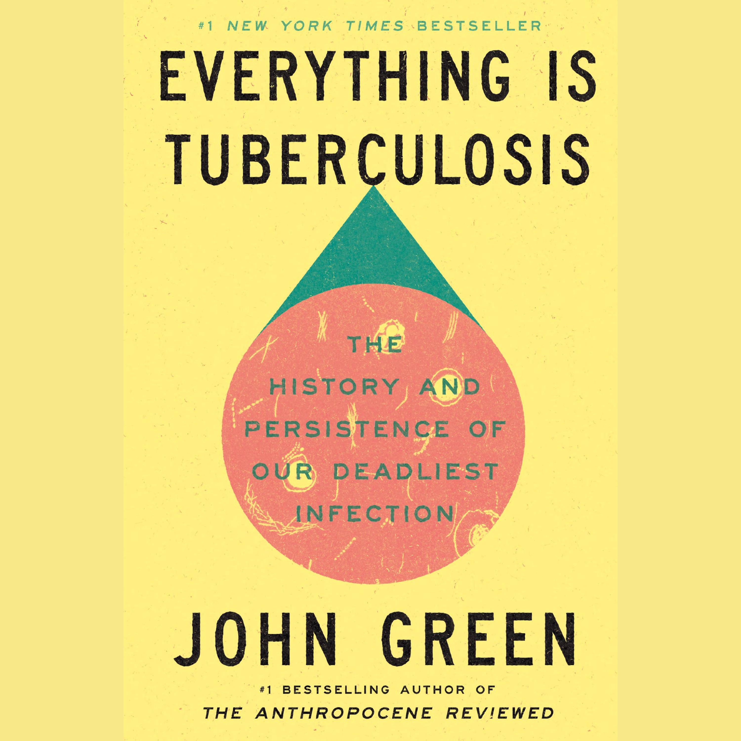 Everything Is Tuberculosis Zusammenfassung | John Green