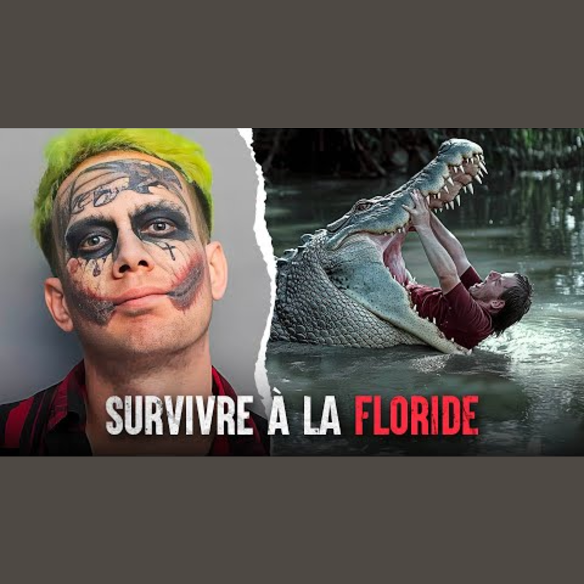 10 dangers mortels à connaître en Floride episode artwork