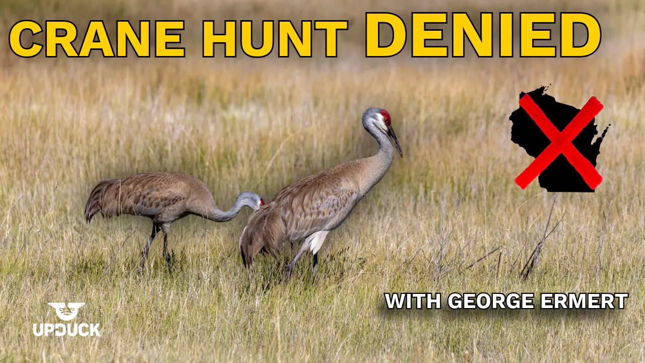 Ep. 127 — Why the Wisconsin Sandhill Crane Hunt Failed (and What's Next) with George Ermert, WWA episode artwork