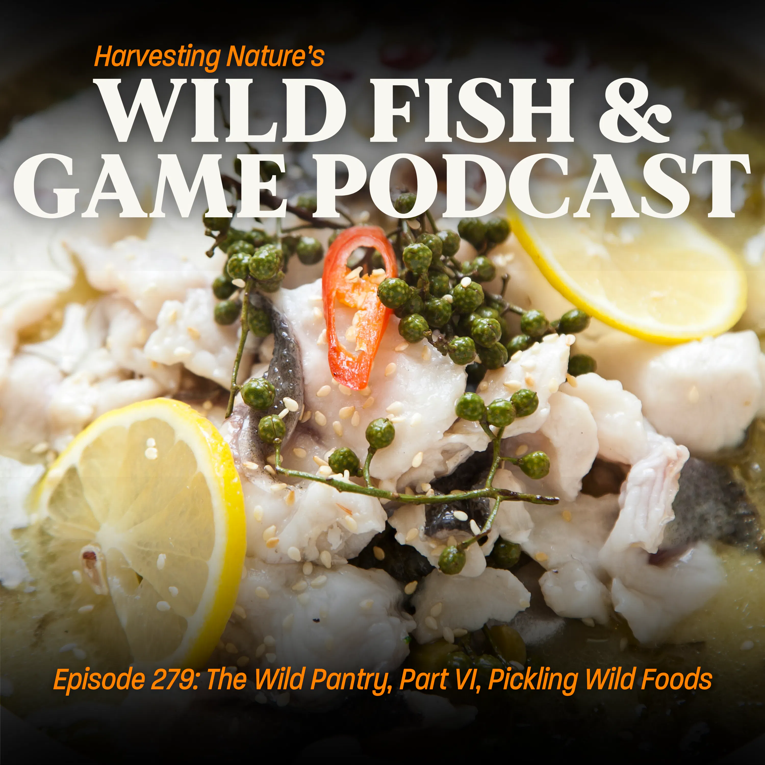 Episode 279: The Wild Pantry, Part VI, Pickling Wild Foods