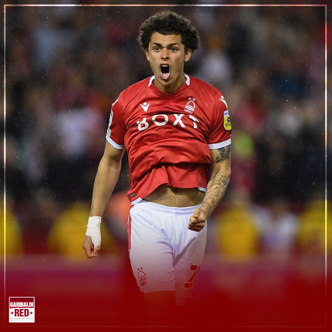 Garibaldi Red Podcast #139 | PLAY-OFF FINAL PREVIEW WITH DAVID JOHNSON episode artwork