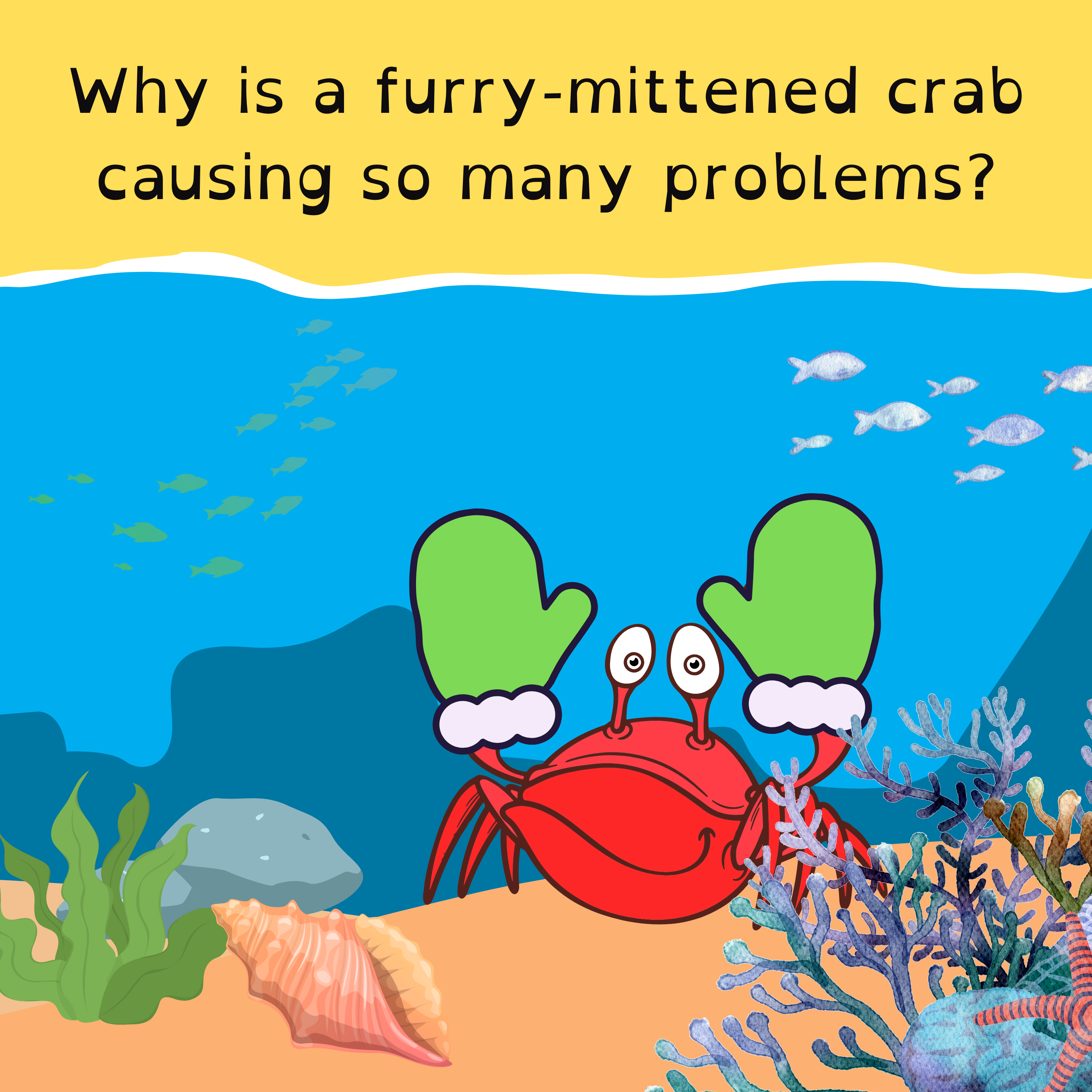 Wednesday, October 18 - Free sheep for everyone; London’s furry-clawed crab invasion; Diamonds sparkle on netball court; and Minecraft’s mega milestone.