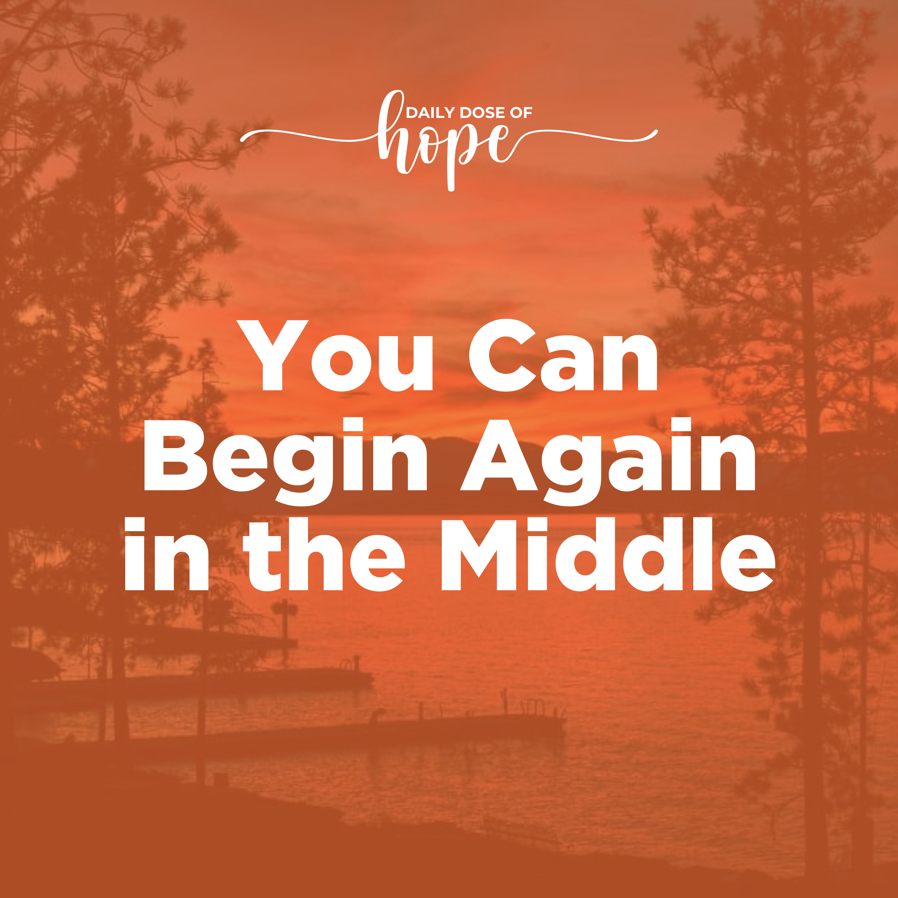 You Can Begin Again in the Middle