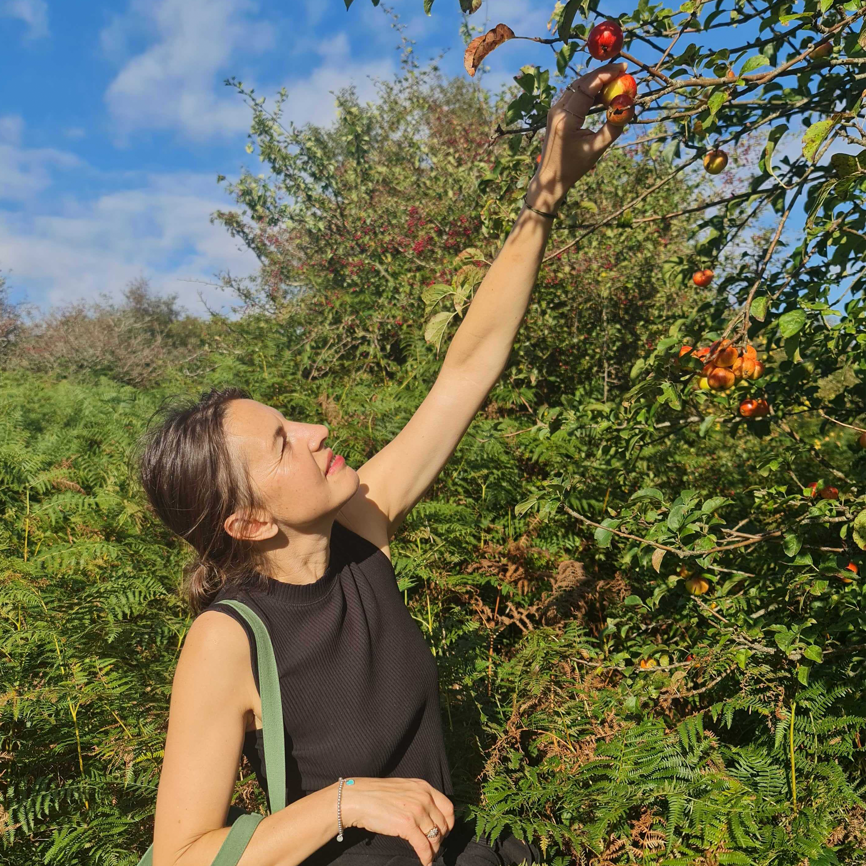 372. Learn about the delights of foraging and fermenting with Rachel de Thample