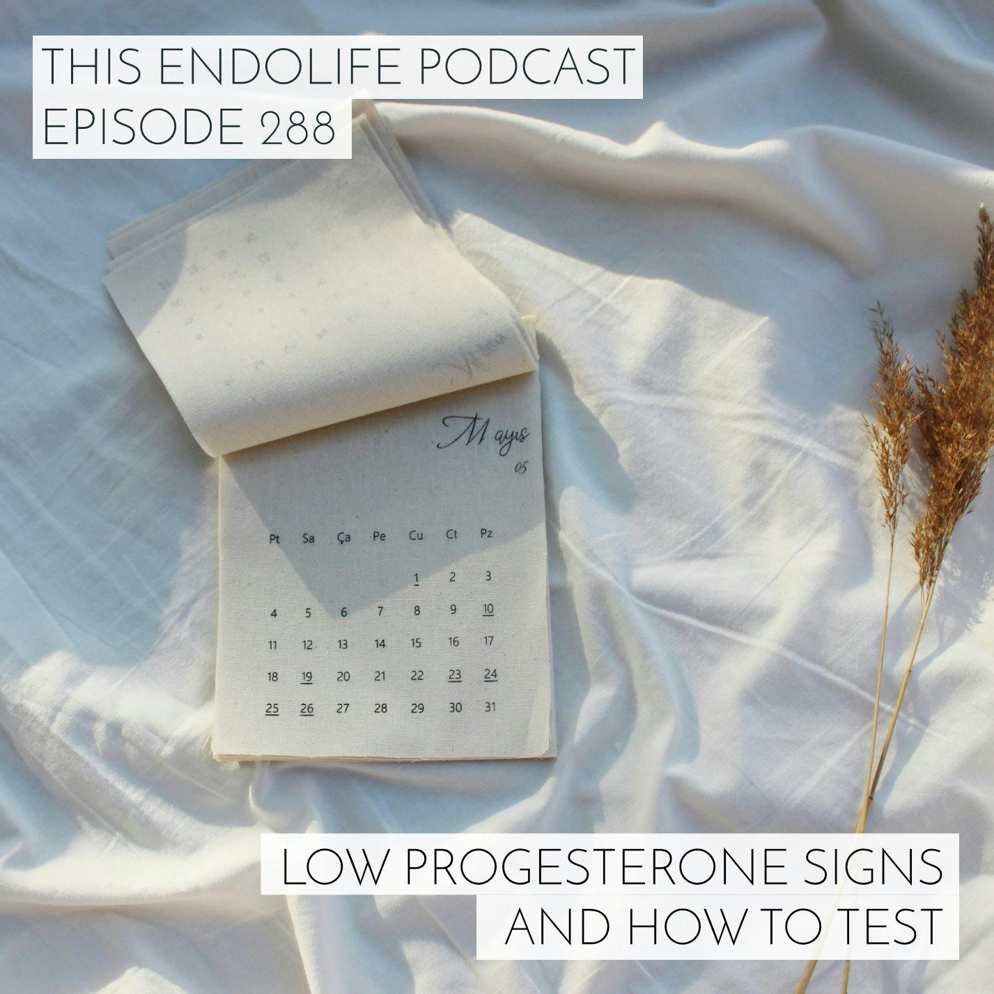 Low Progesterone Signs and How to Test