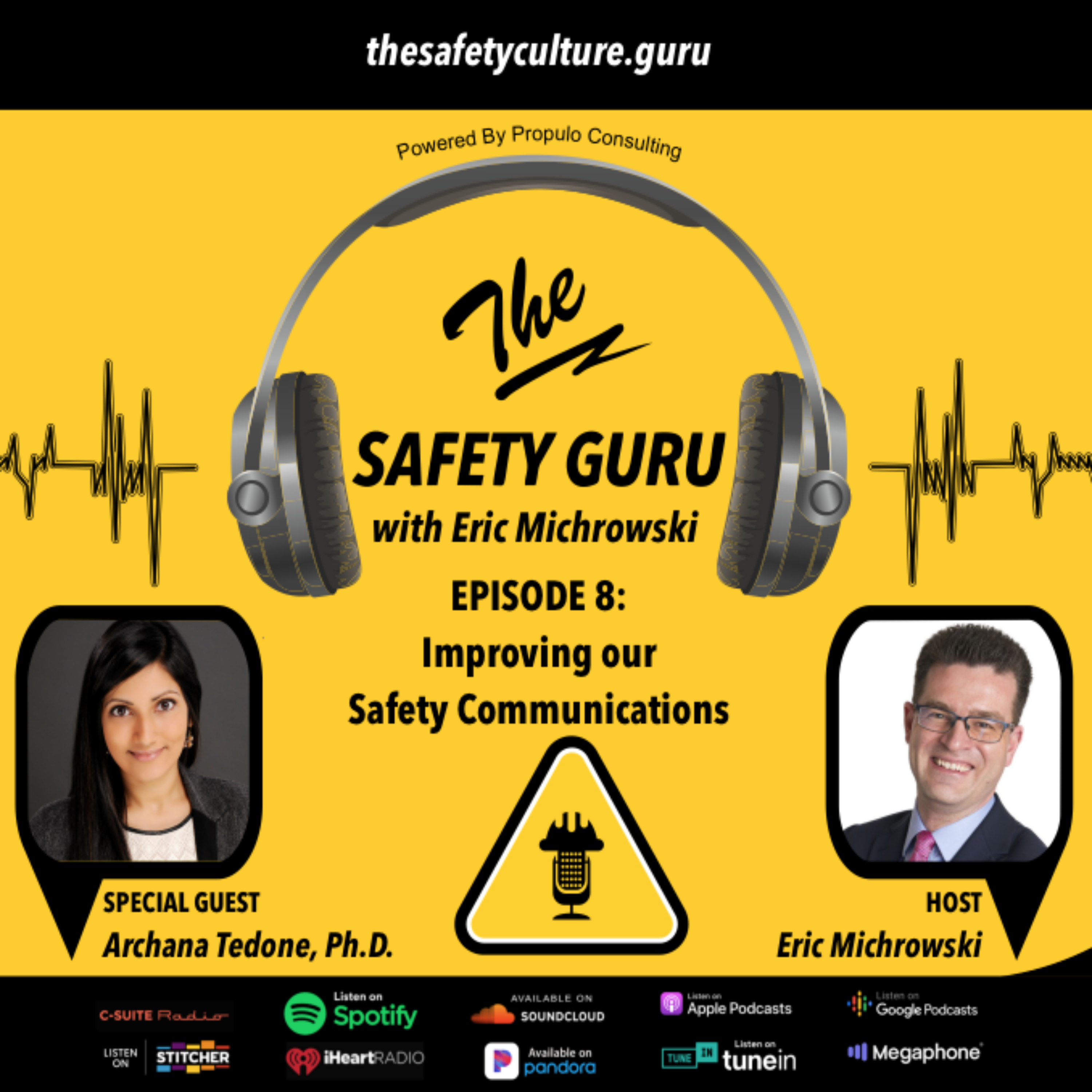 The Safety Guru
