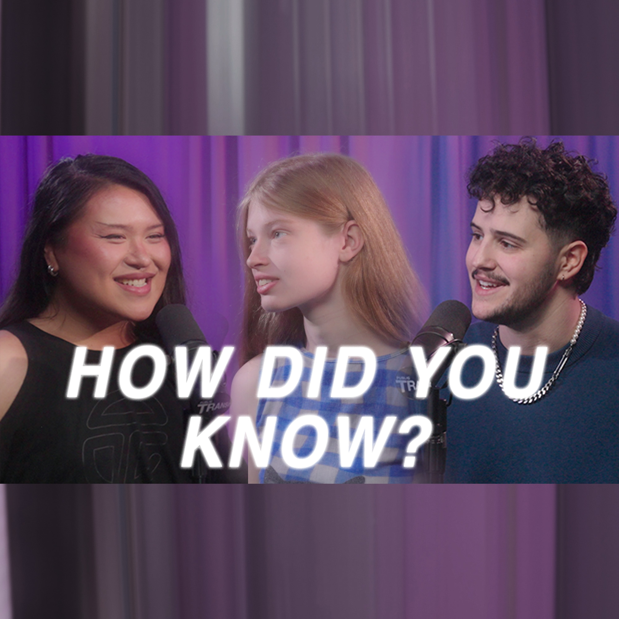 Episode 1: When + How Did You Know? - Vivian Wilson and Logan Giannascoli