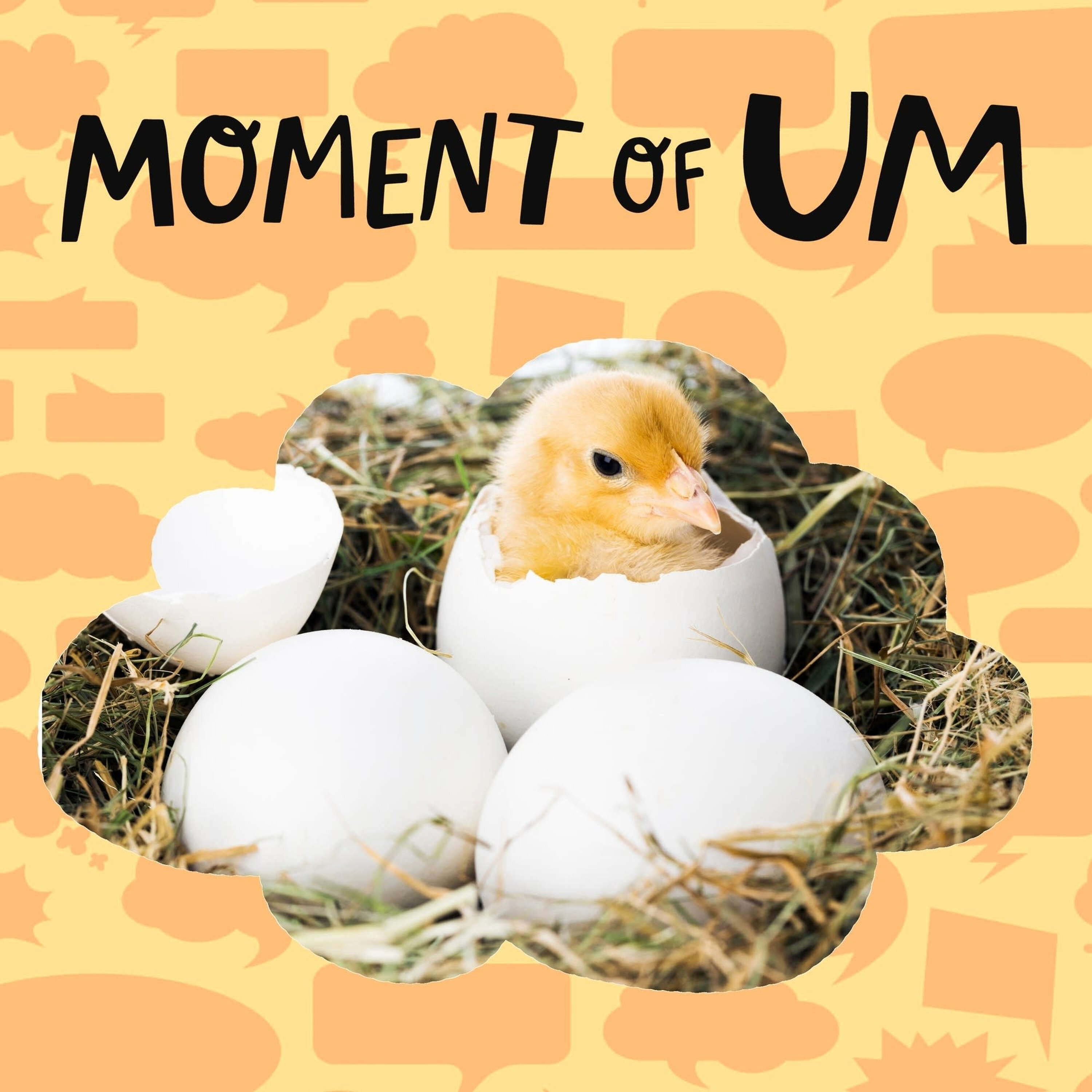 How do birds make their eggs?