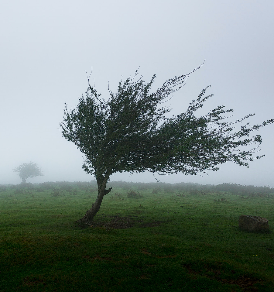 Strong Wind Blowing: 3-Hour Tranquil Windy Ambiance for Blissful Sleepiness