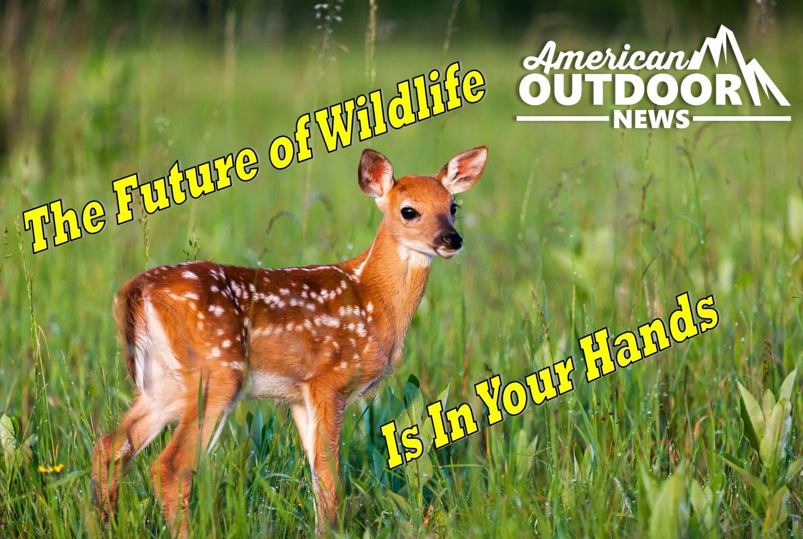 The Future of Wildlife is in Your Hands