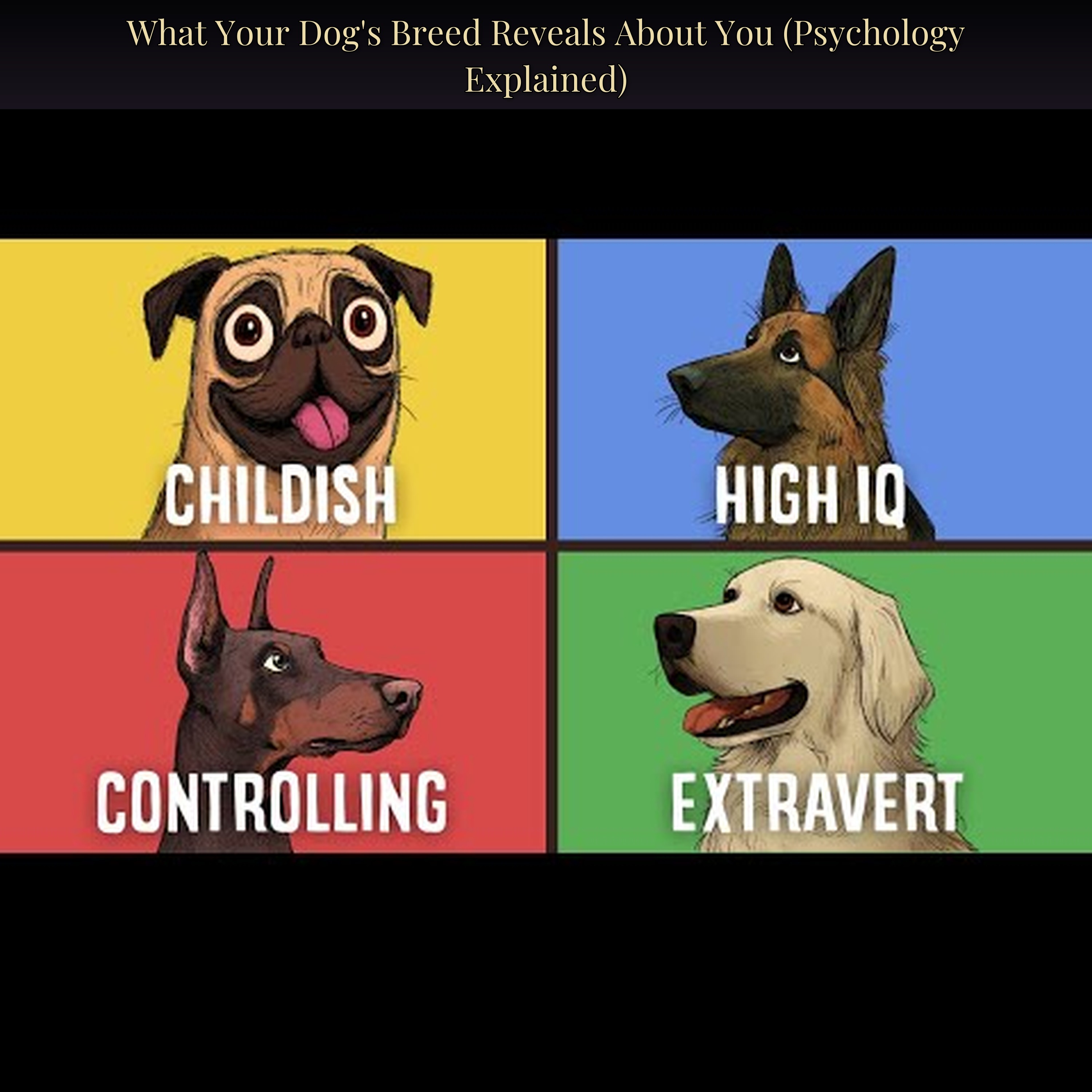 What Your Dog's Breed Reveals About You (Psychology Explained)