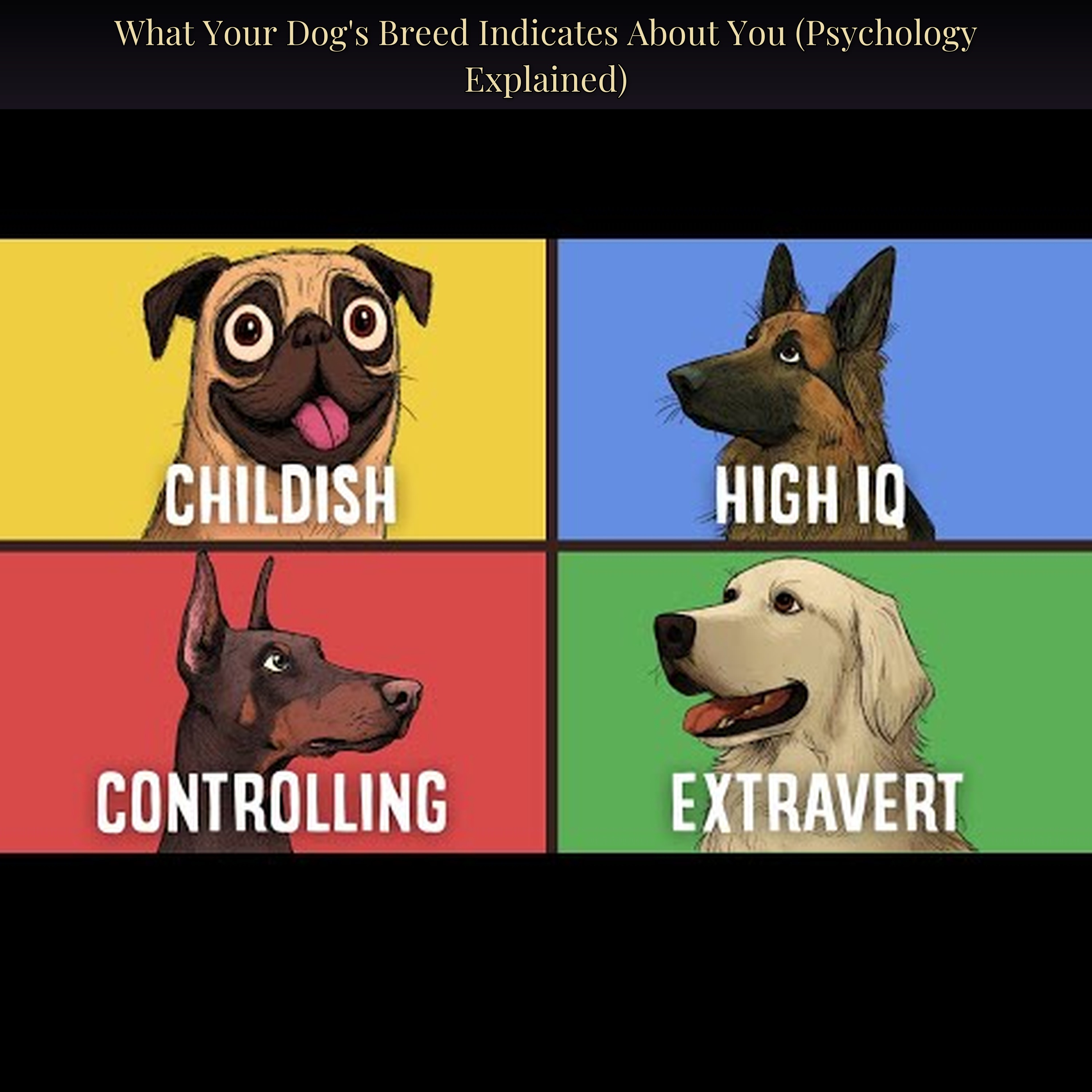 What Your Dog's Breed Indicates About You (Psychology Explained)