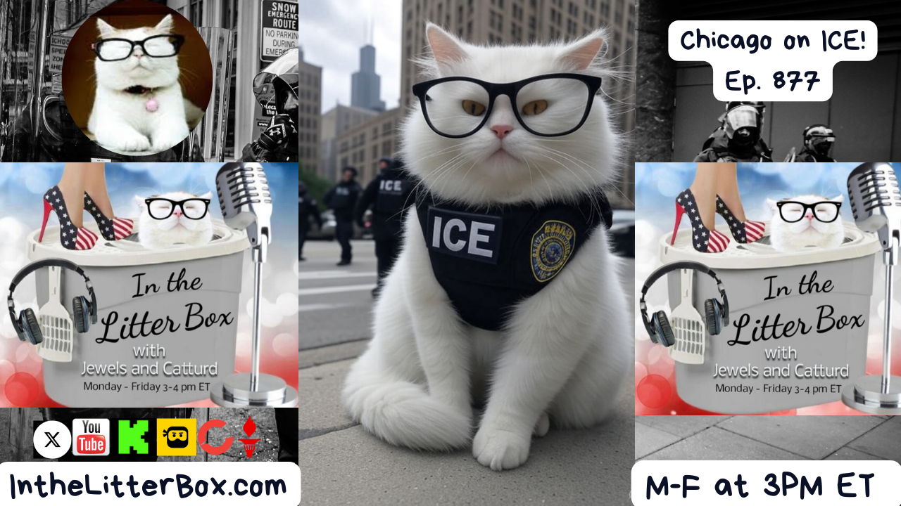 Chicago on ICE | In the Litter Box w/ Jewels & Catturd – Ep. 877 – 9/9/2025